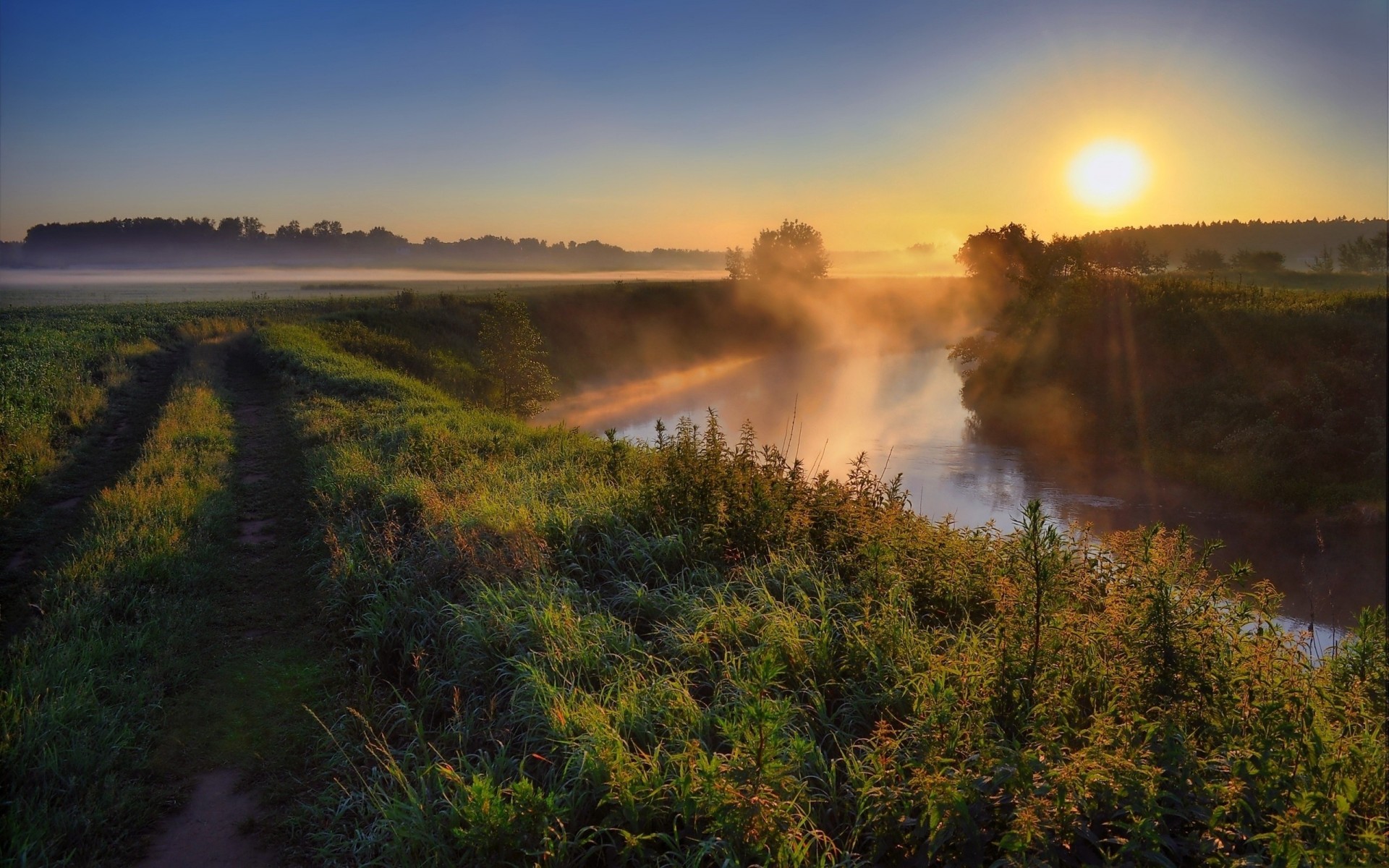 утро трава река грязь туман центральный парк солнце дорога мгла