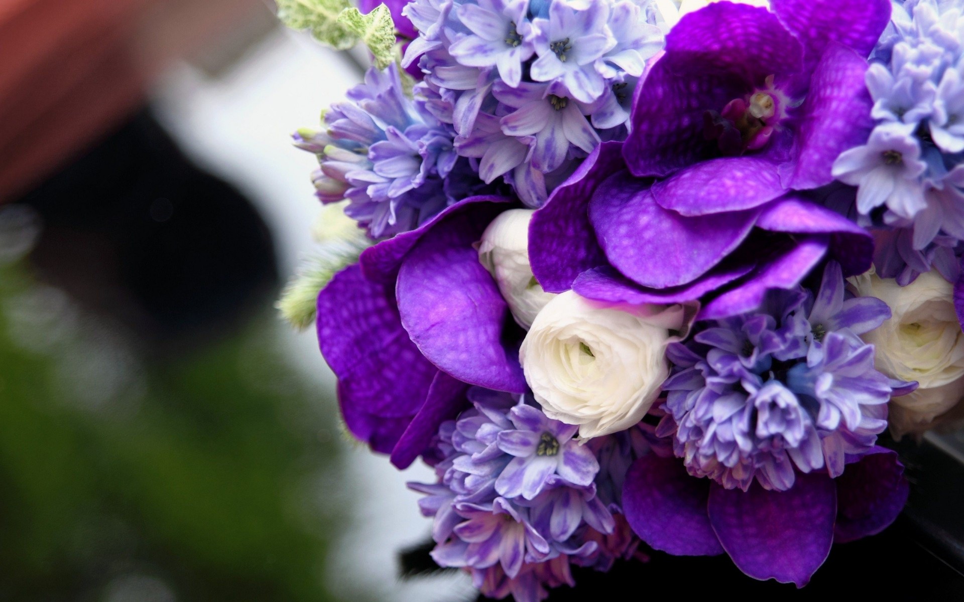 букет фиолетовый прекрасный цветы
