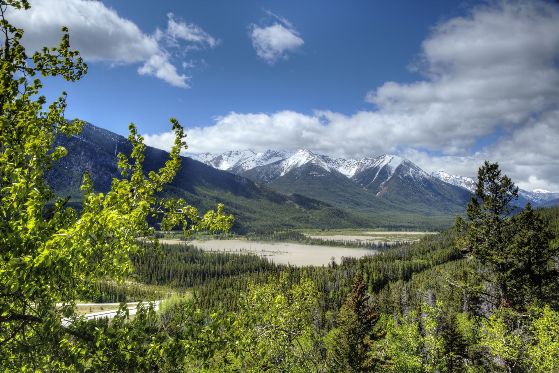 пейзаж альберта лес канада национальный парк банф банф скалистые горы горы