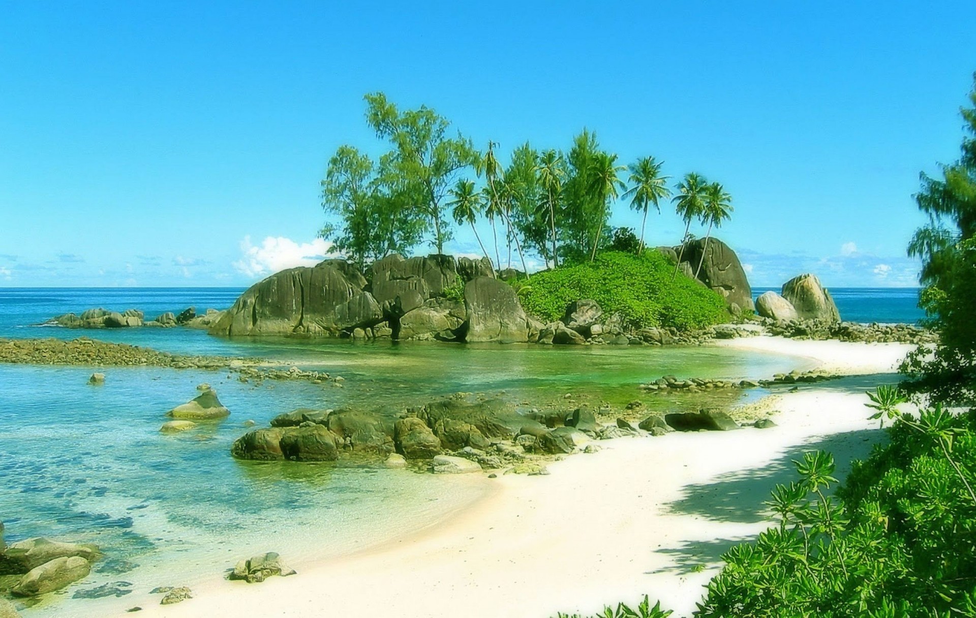 пляж пальмы природа берег сейшелы сейшельские острова