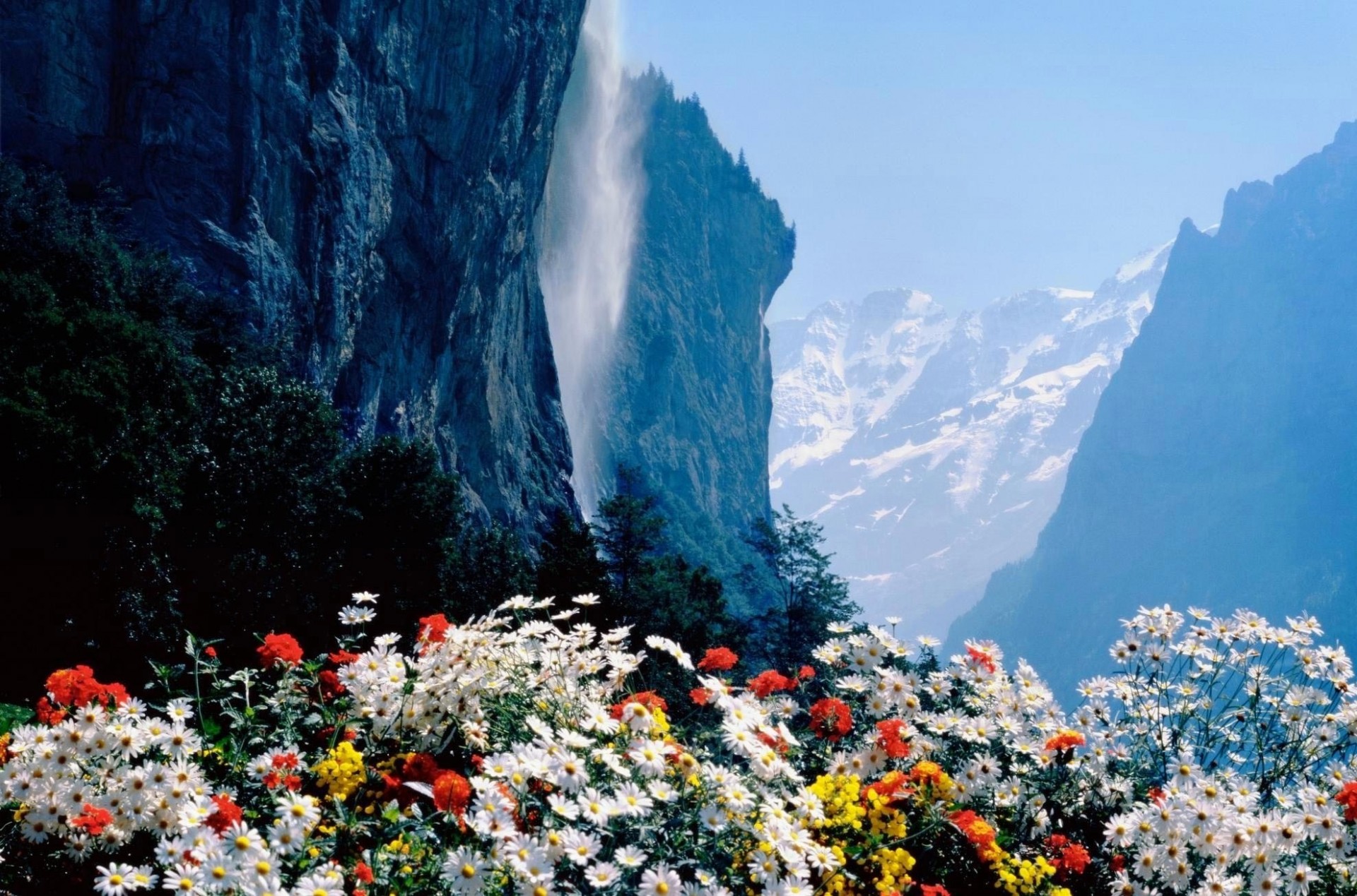 природа цветы горы скалы бесплатно