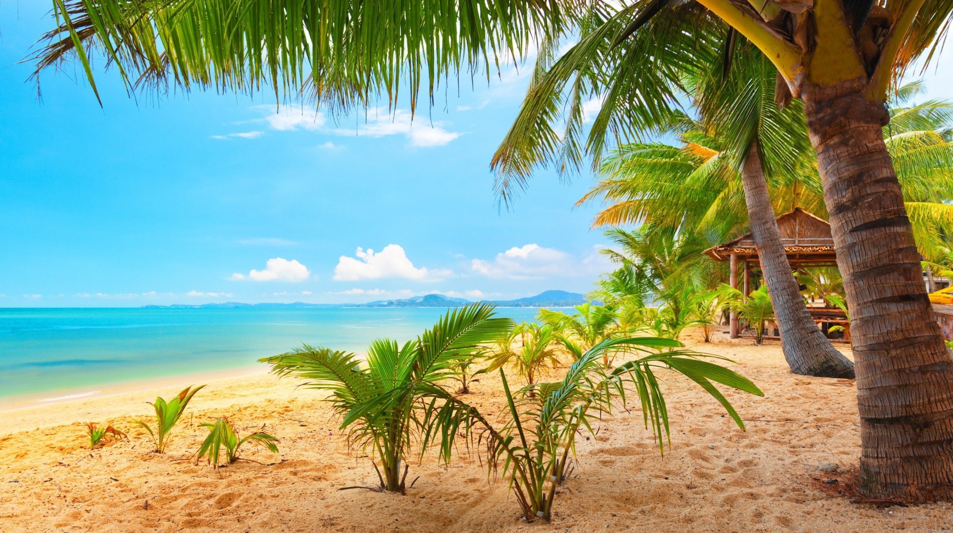 пляж пальмы облака тропики океан природа лето отдых небо горы прекрасный
