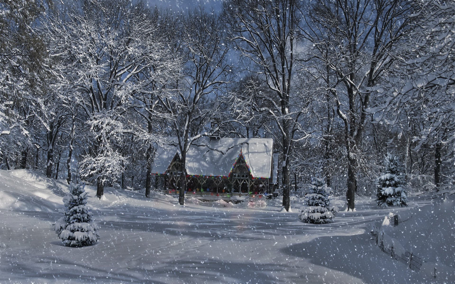 Зимний пейзаж, деревья в снегу, дом в лесу