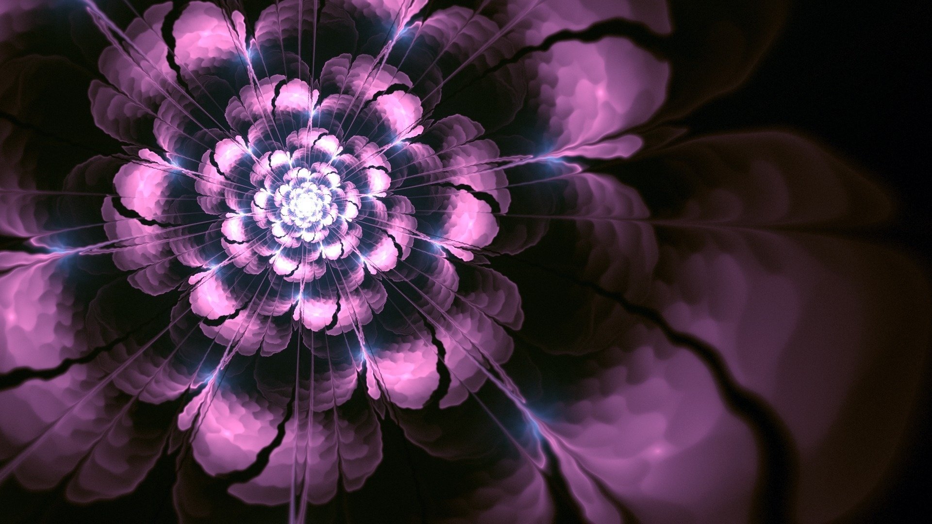 Абстрактный фиолетовый цветок на черном фоне