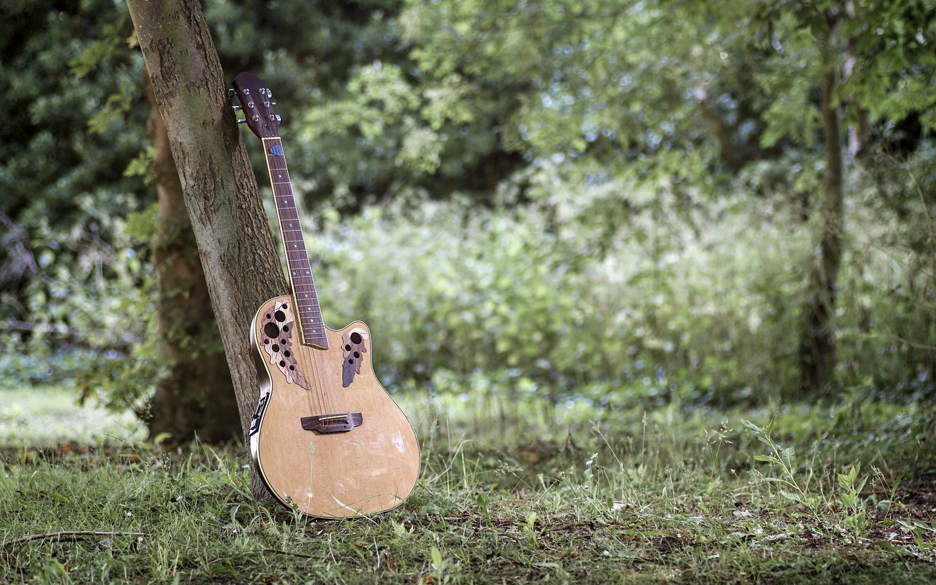 Красивая гитара стоит на траве у большого дерева