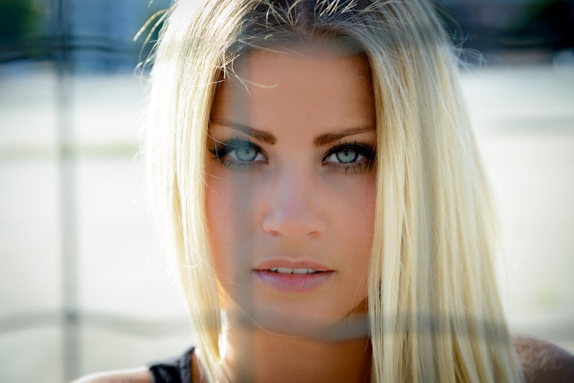 ���� �������� ��������� - 12