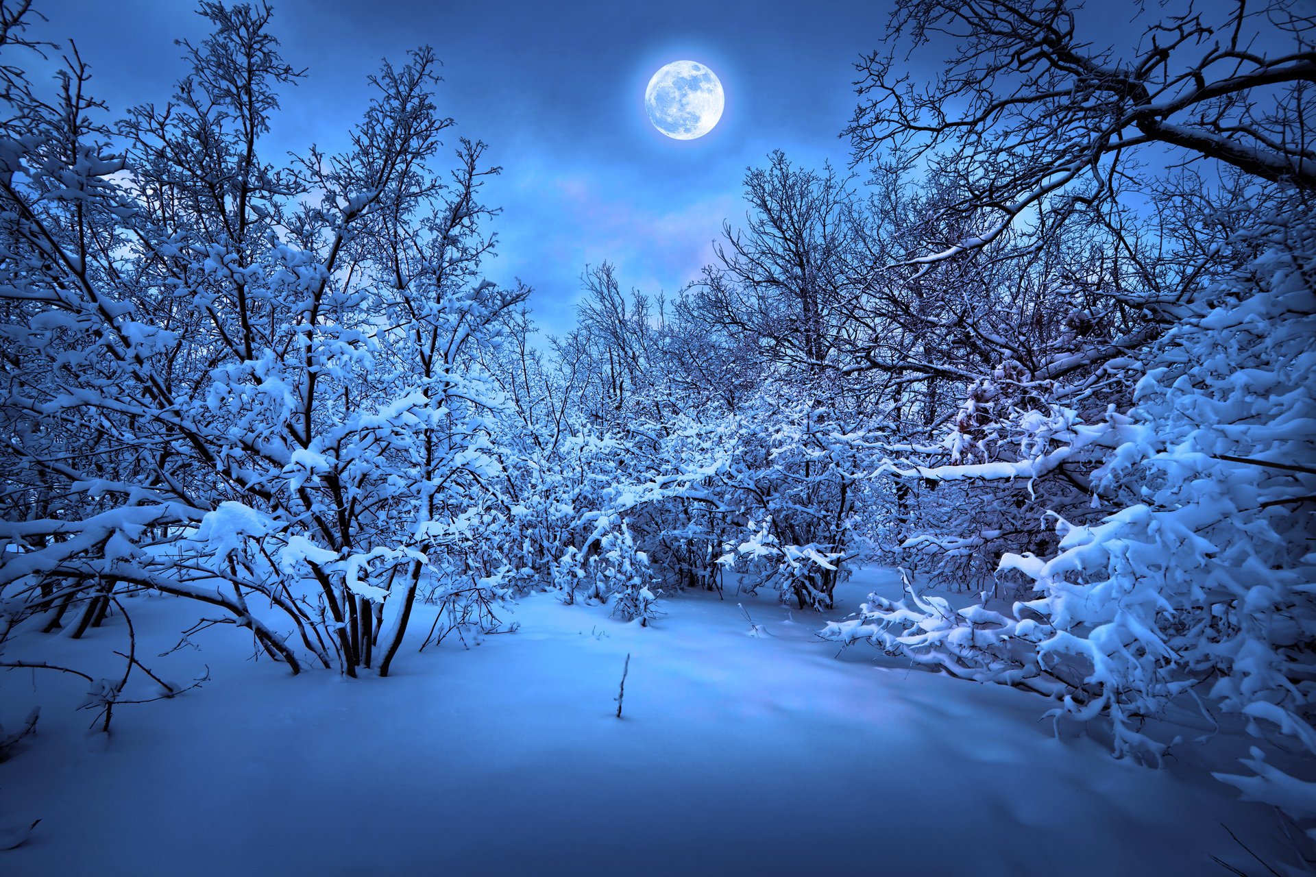 Зимняя лесная полянка при луне