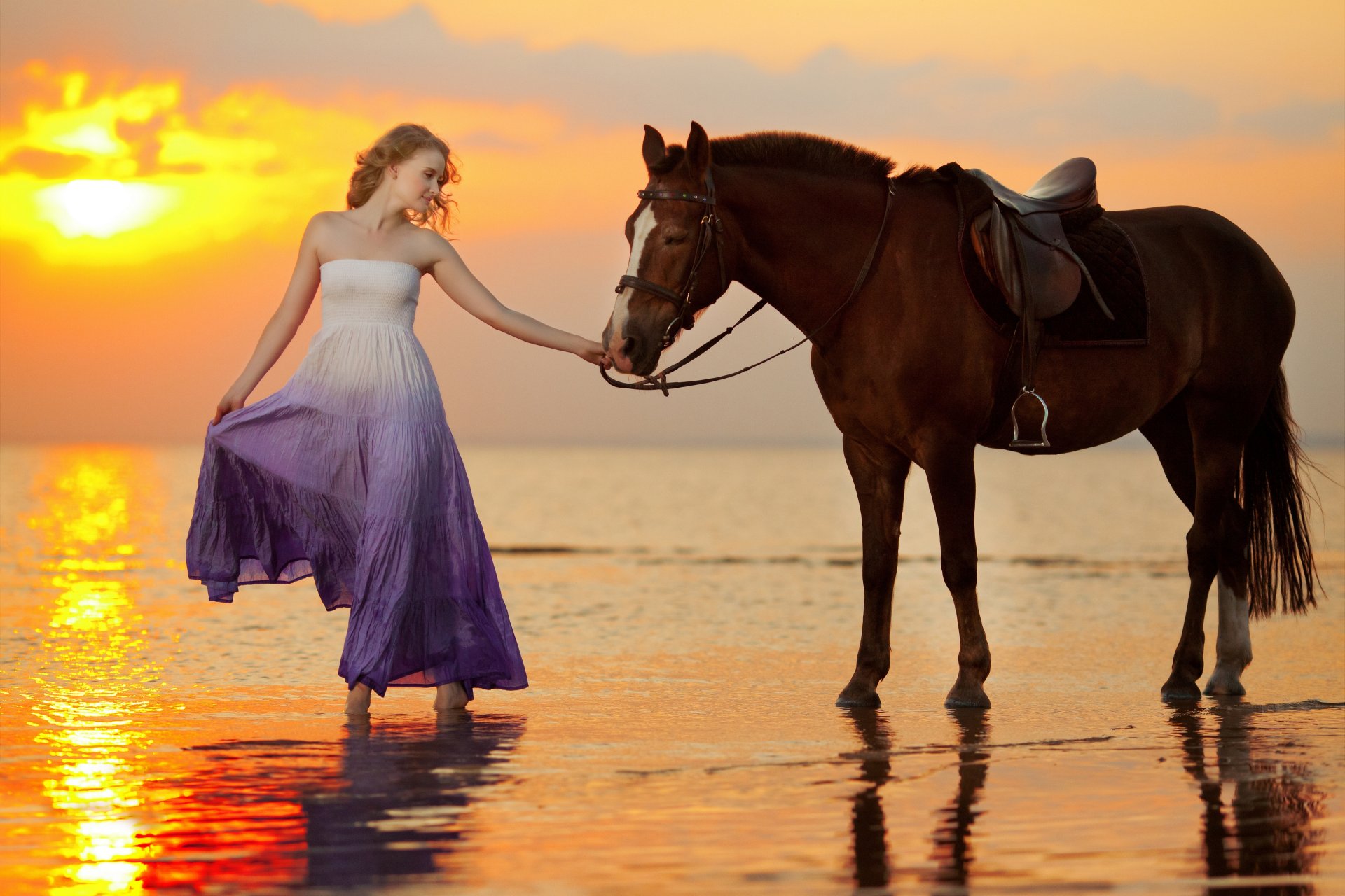море побережье девушка лошадь закат