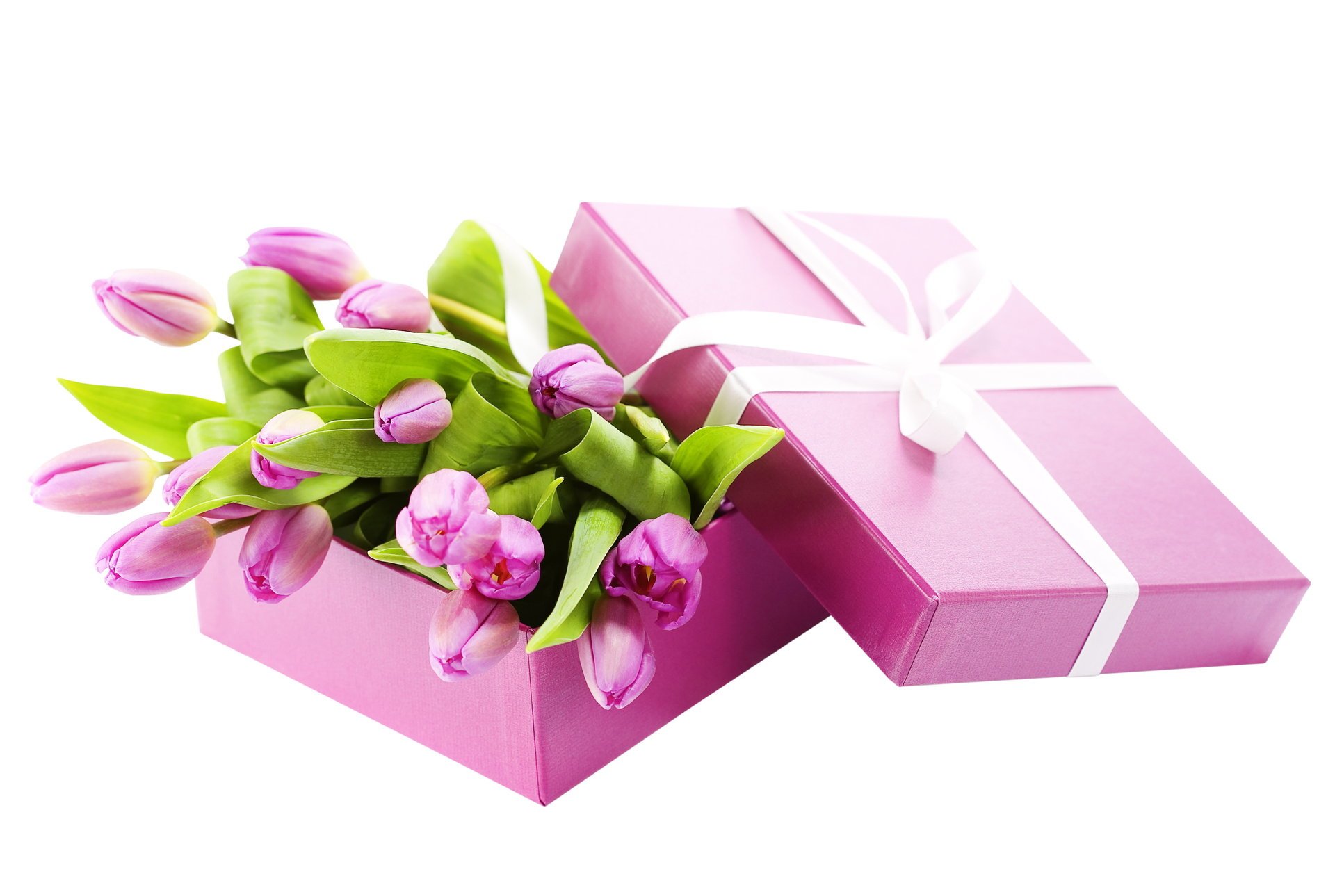 Розовая коробка с тюльпанами и белой лентой