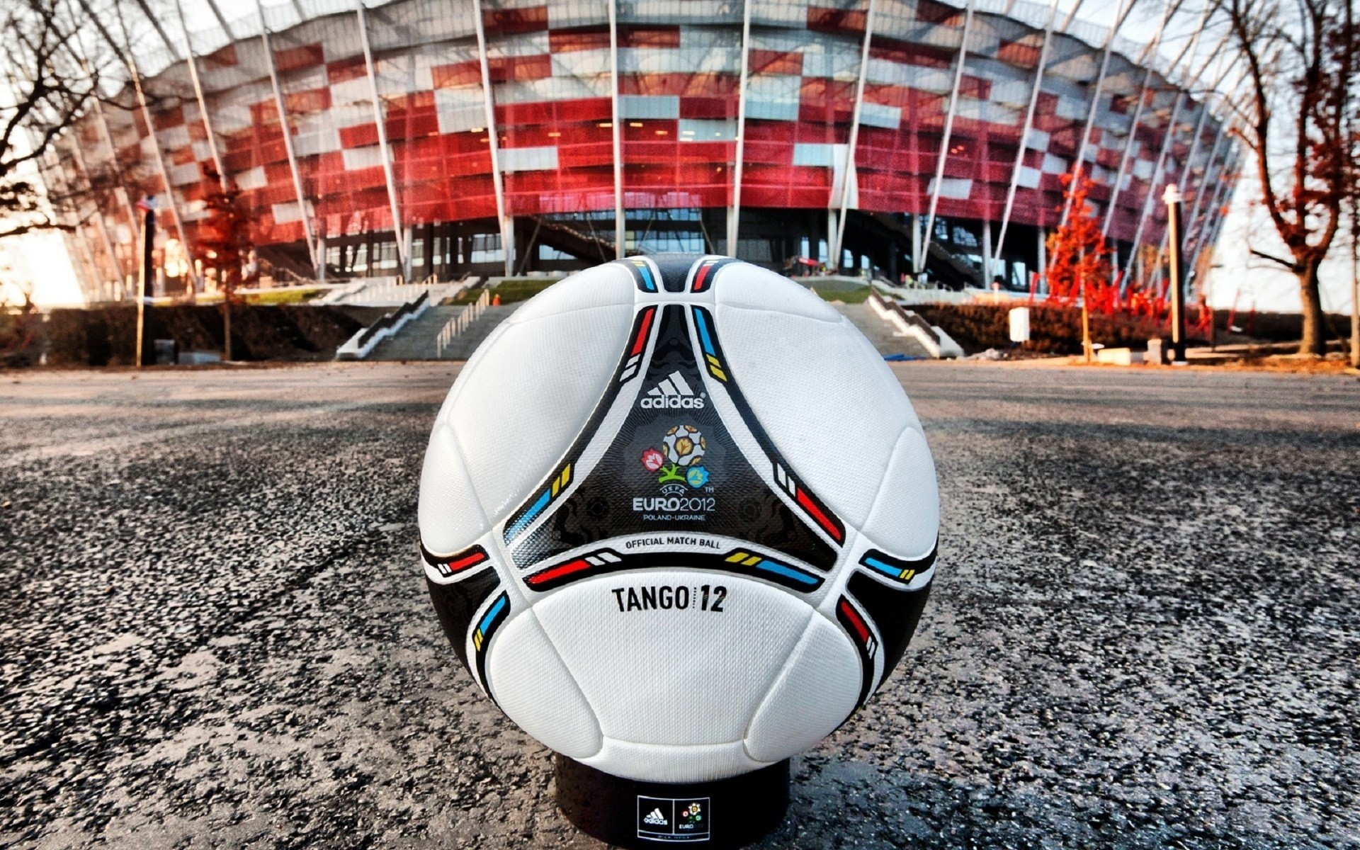 кожа стадион шар евро 2012