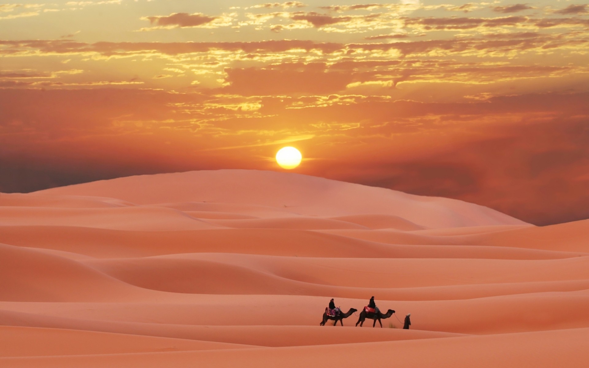 песок солнце пустыня верблюды люди