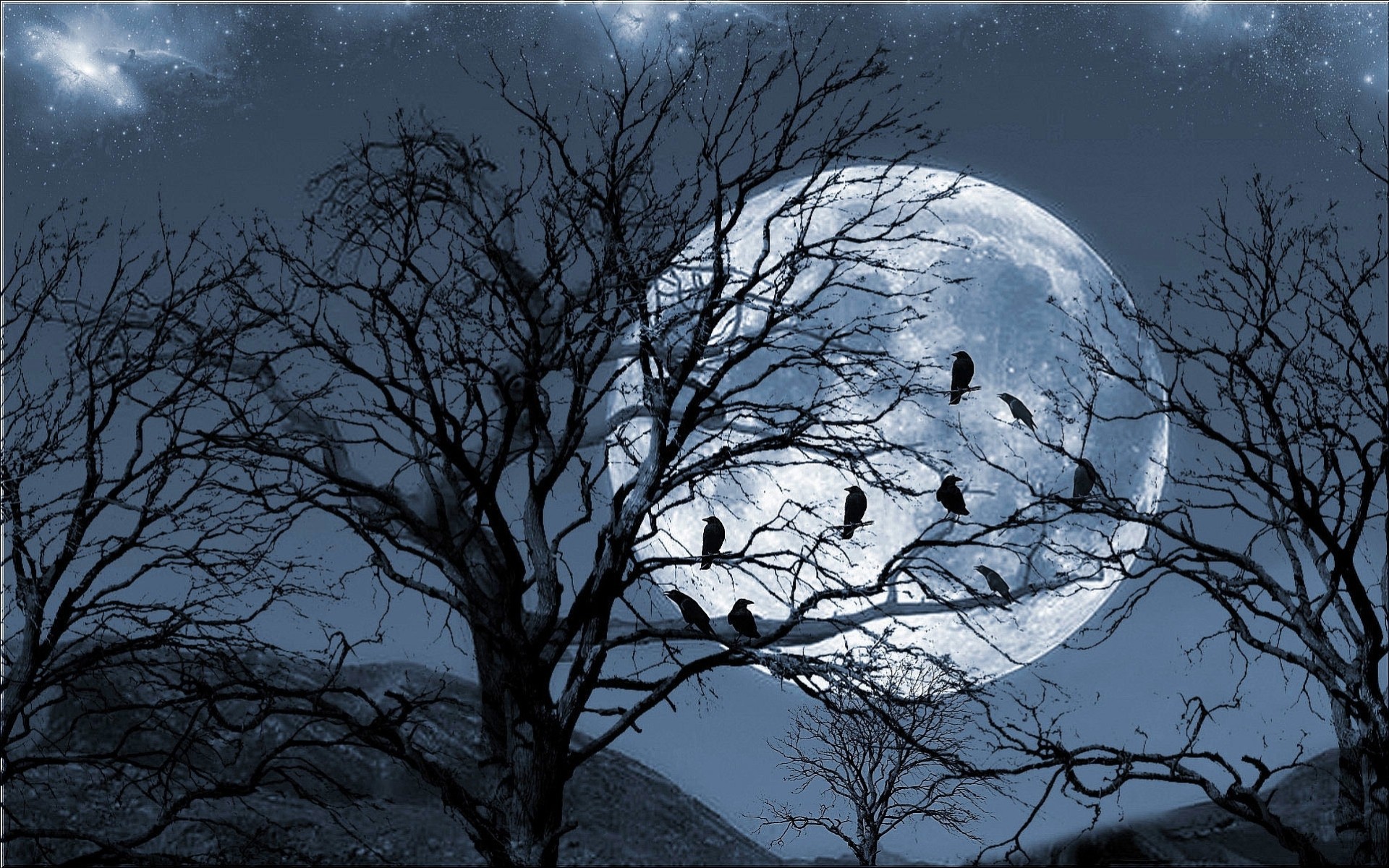 луна ветви сумерки ночь бесплатно