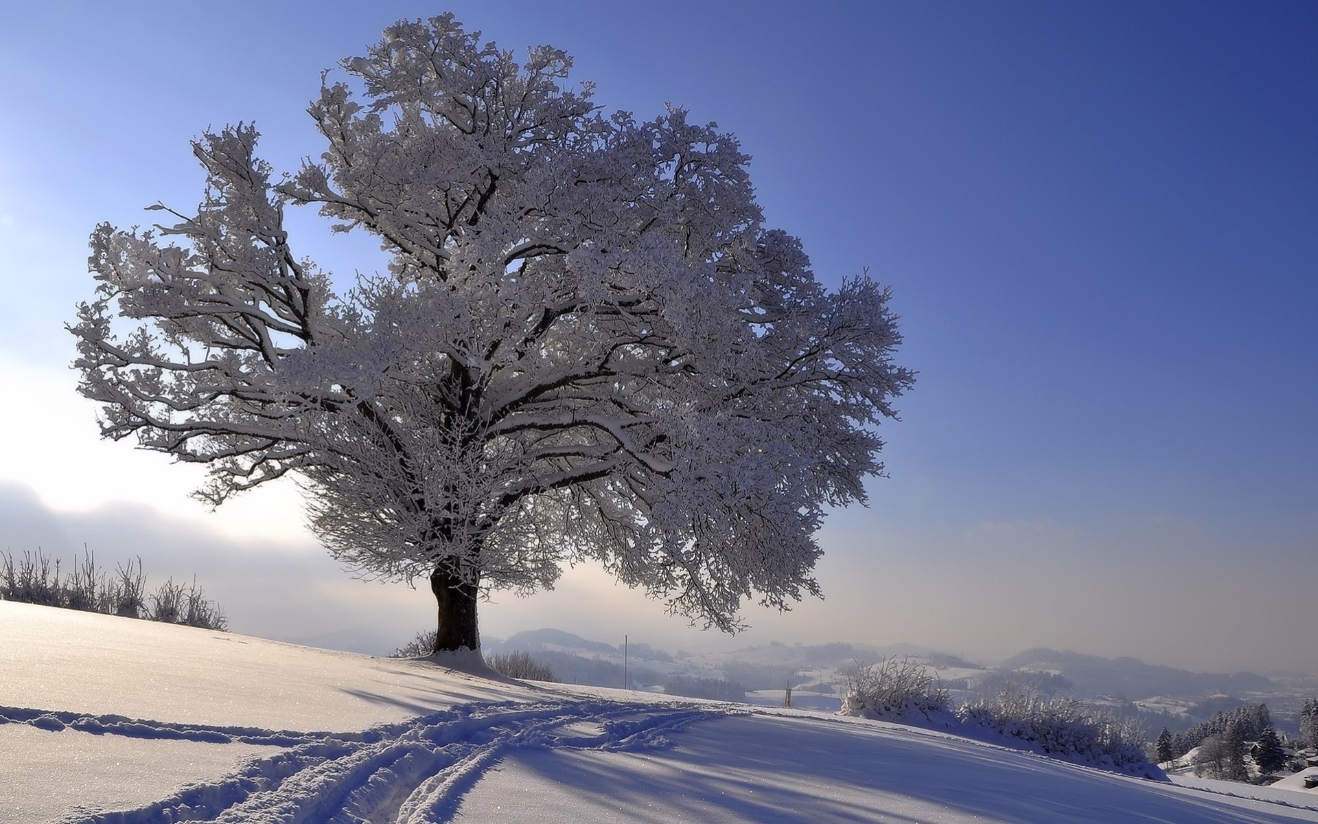 пейзаж деревья мороз снег зима горизонт