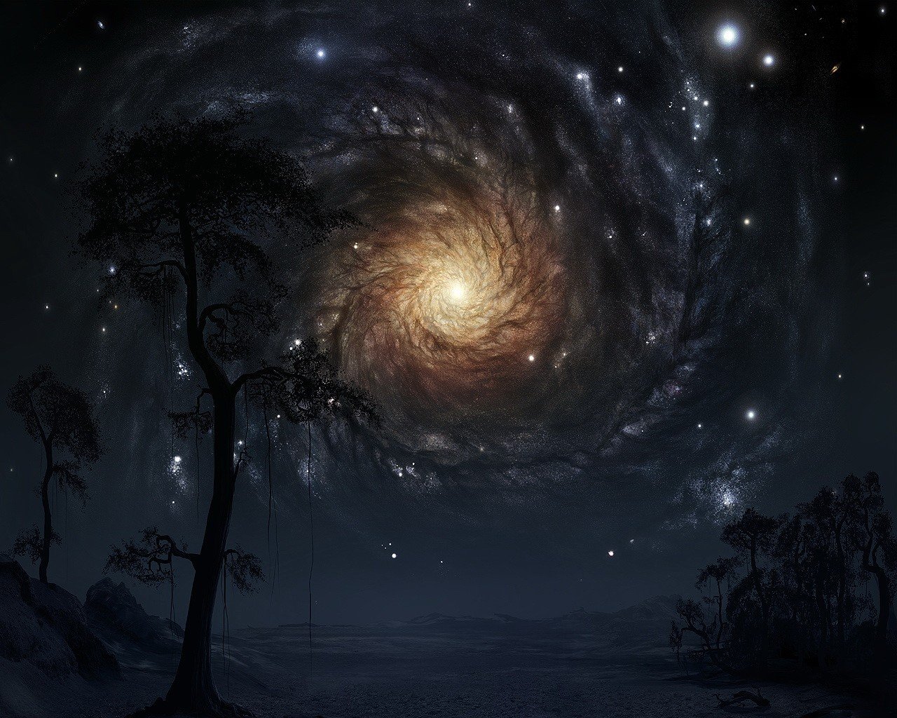 деревья звезды галактика