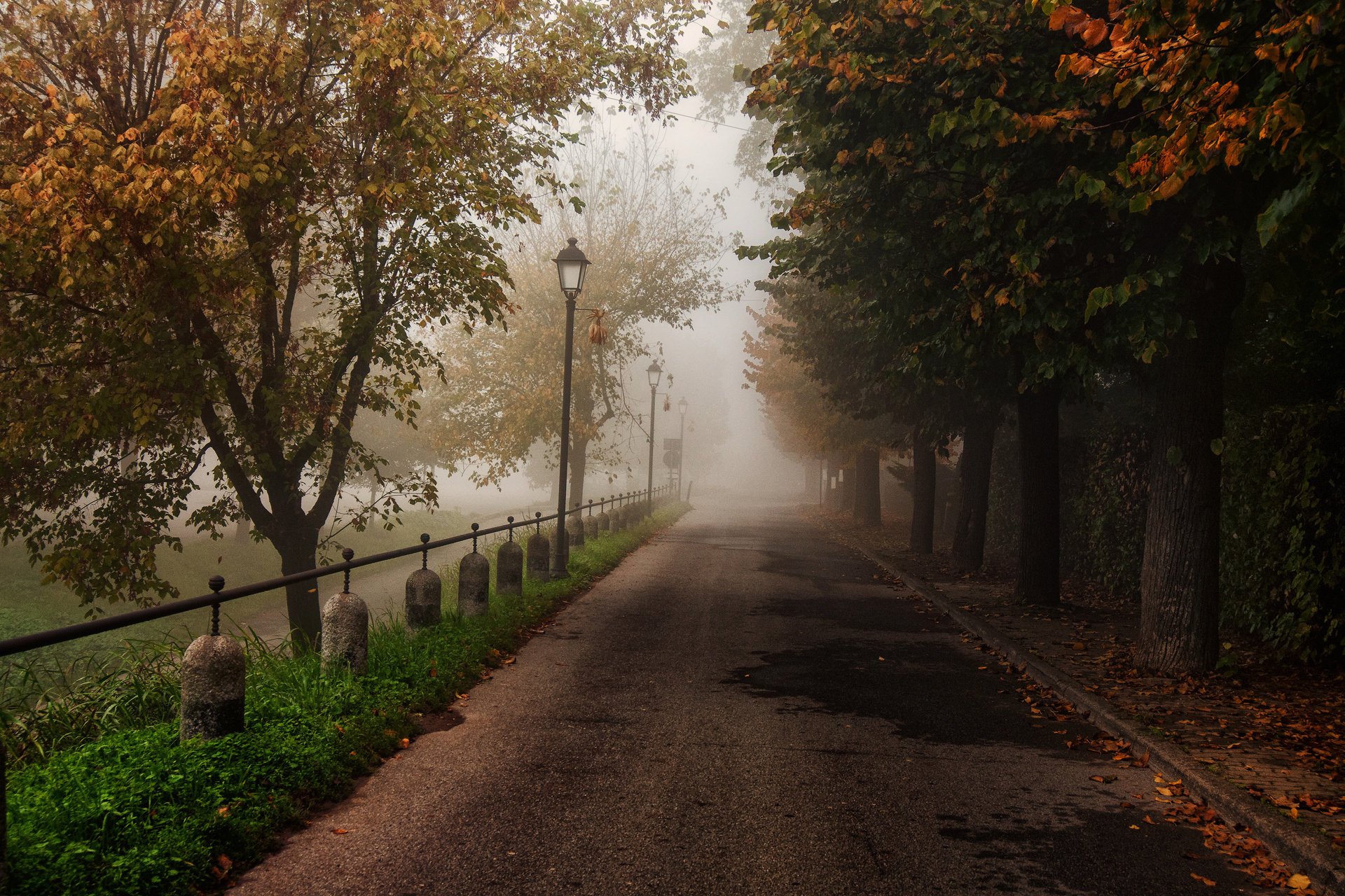 Осенняя аллея в парке уходящая в туман