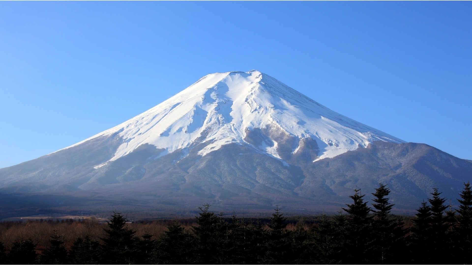 Fuji Fuji