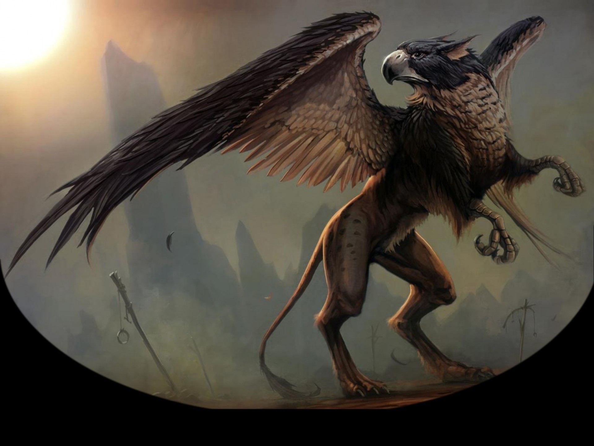 ���, �������� �������� ��������