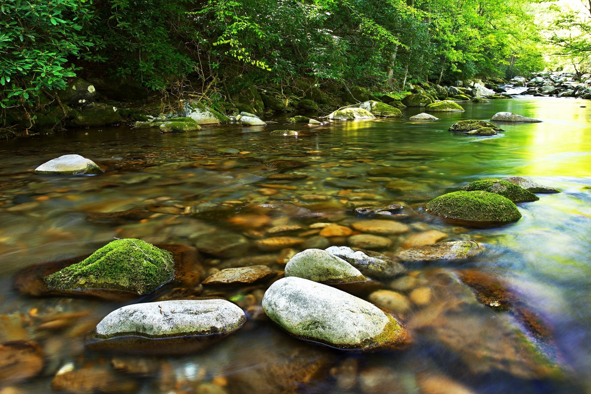 Река с камнями