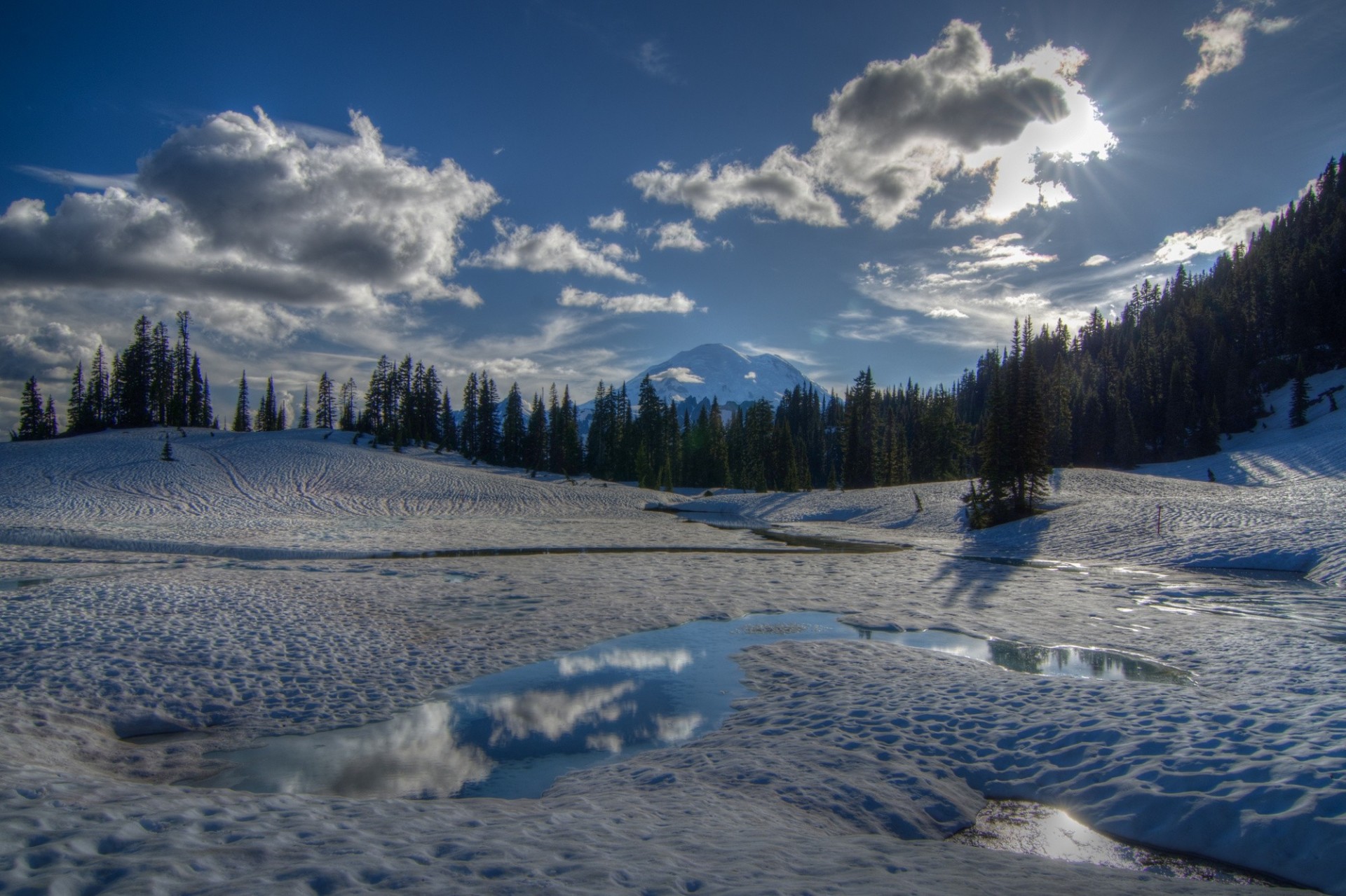 Mount Rainier Reflected in Tipsoo Lake, Washington загрузить