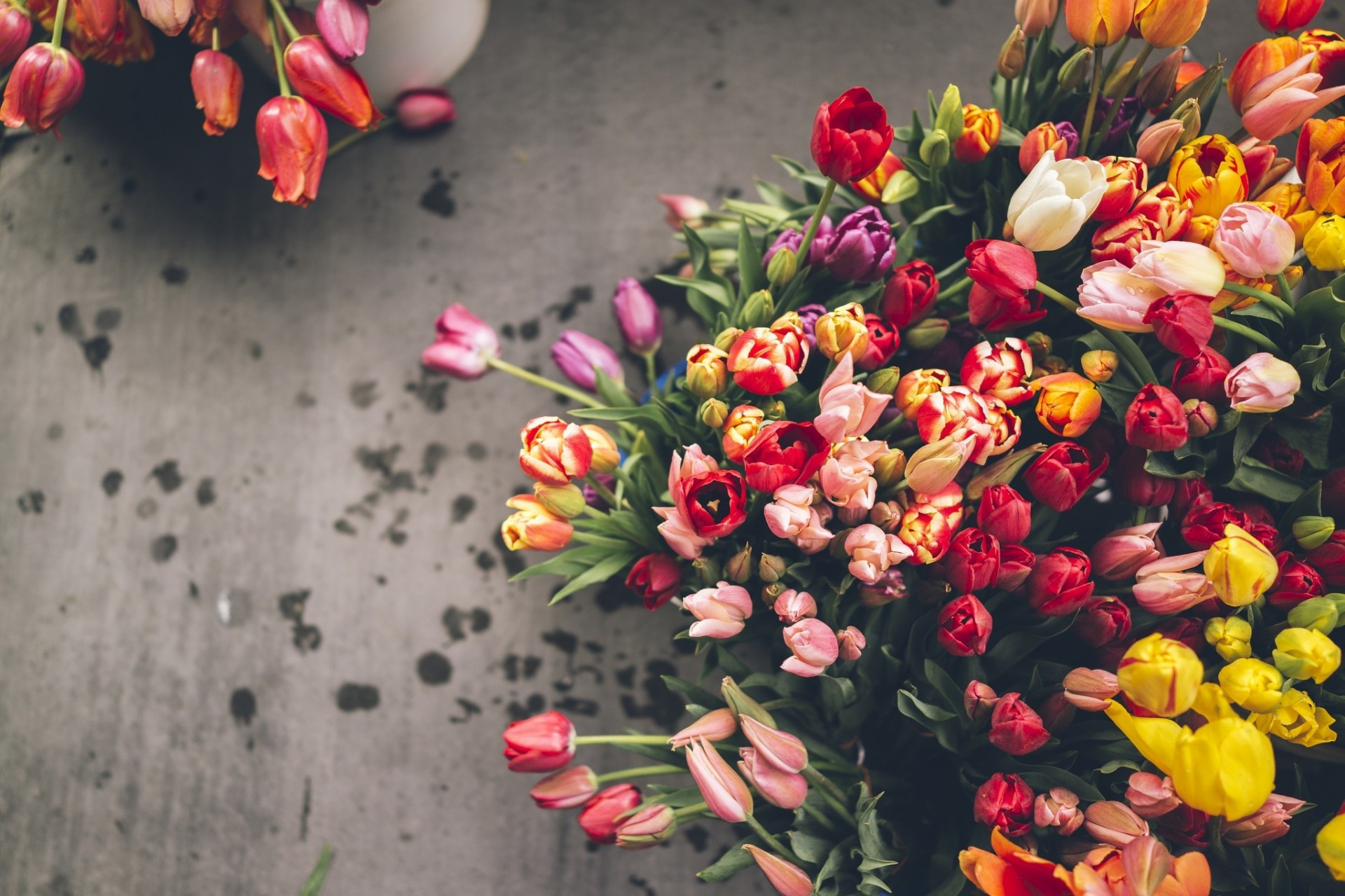 Найти красивые цветы на заставку телефона бесплатно