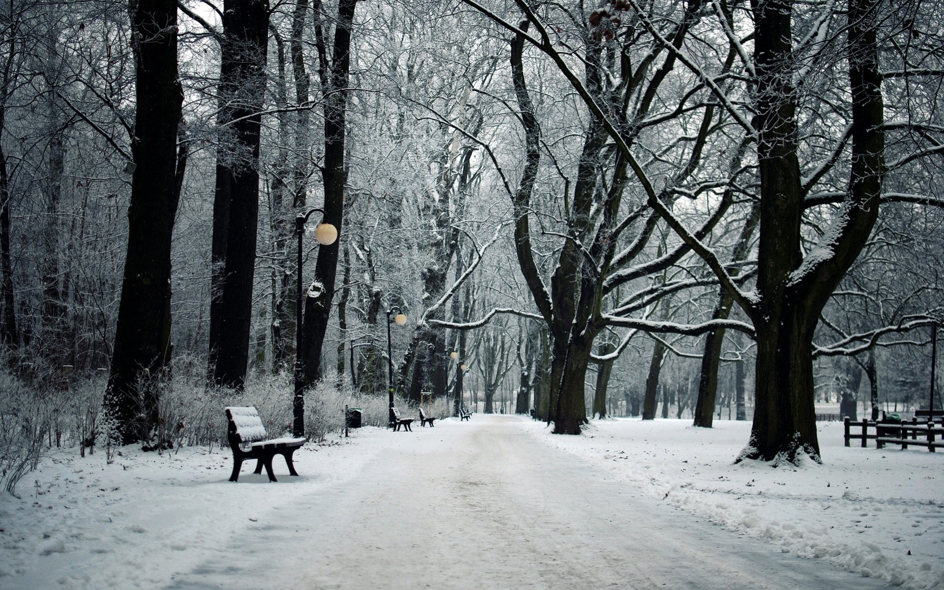 Зимний пейзаж парк