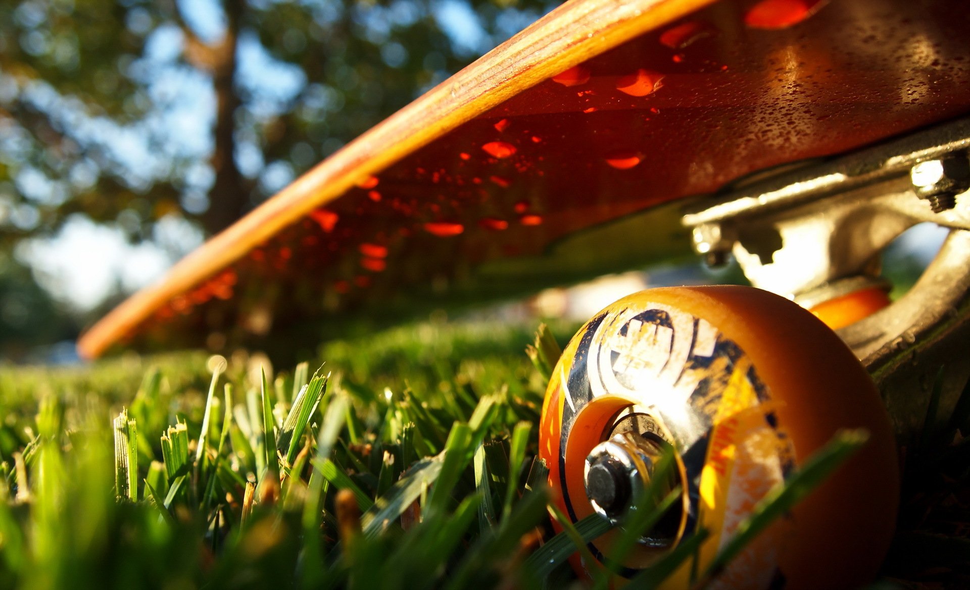 скейтборд на траве загрузить
