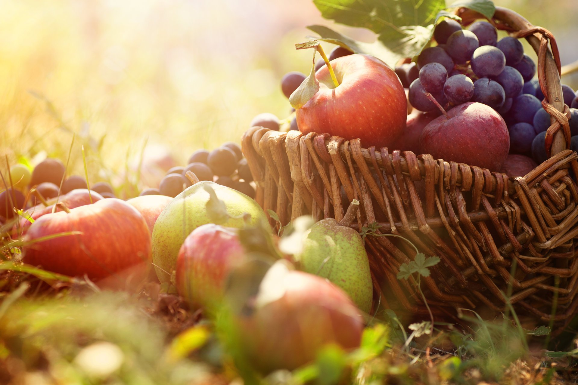 Фруктовая корзина яблок и винограда на траве