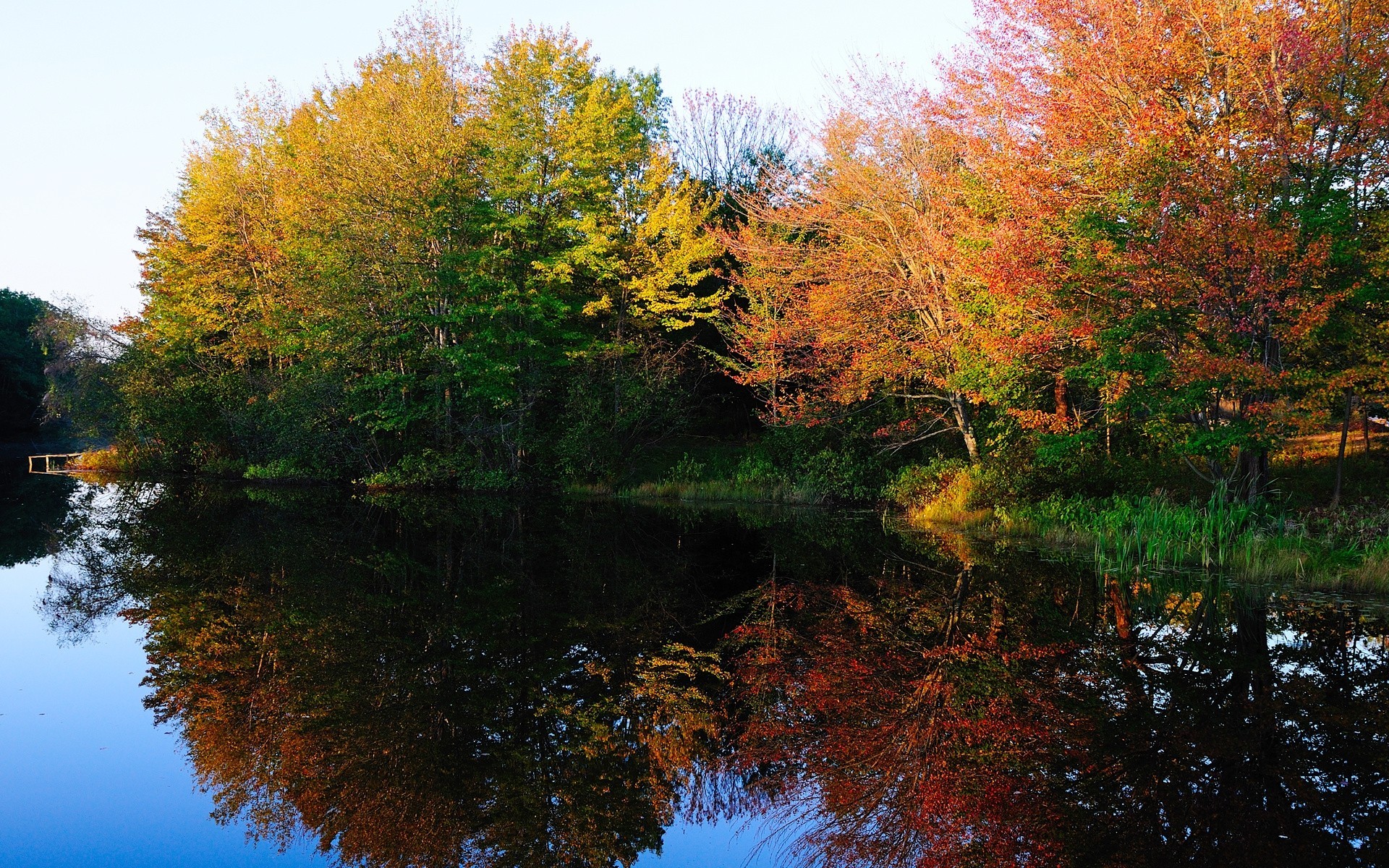 Озеро деревья осень без смс