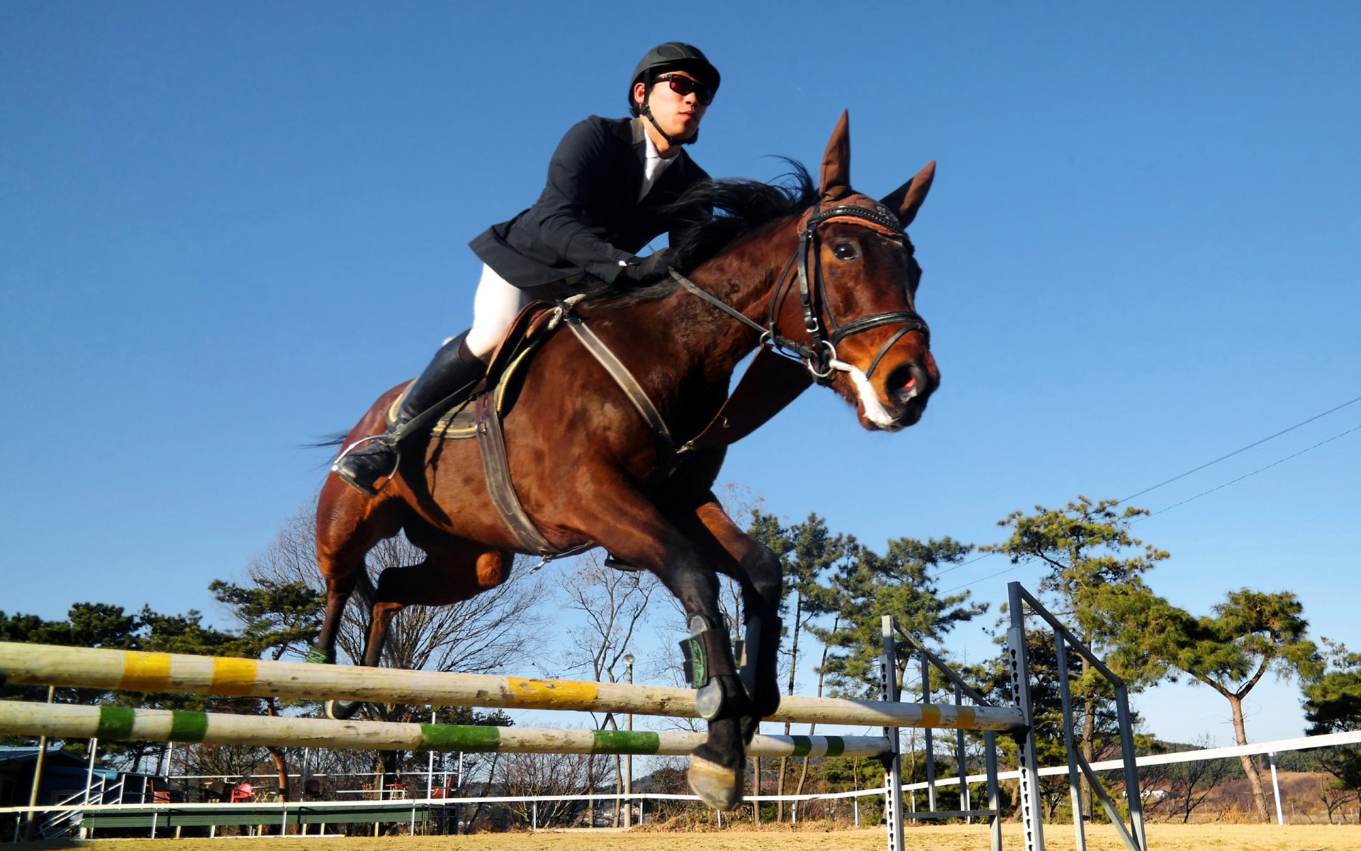 конный спорт конкур конные состязания соревнования наездник всадник лошадь преодоление препятствия обои .