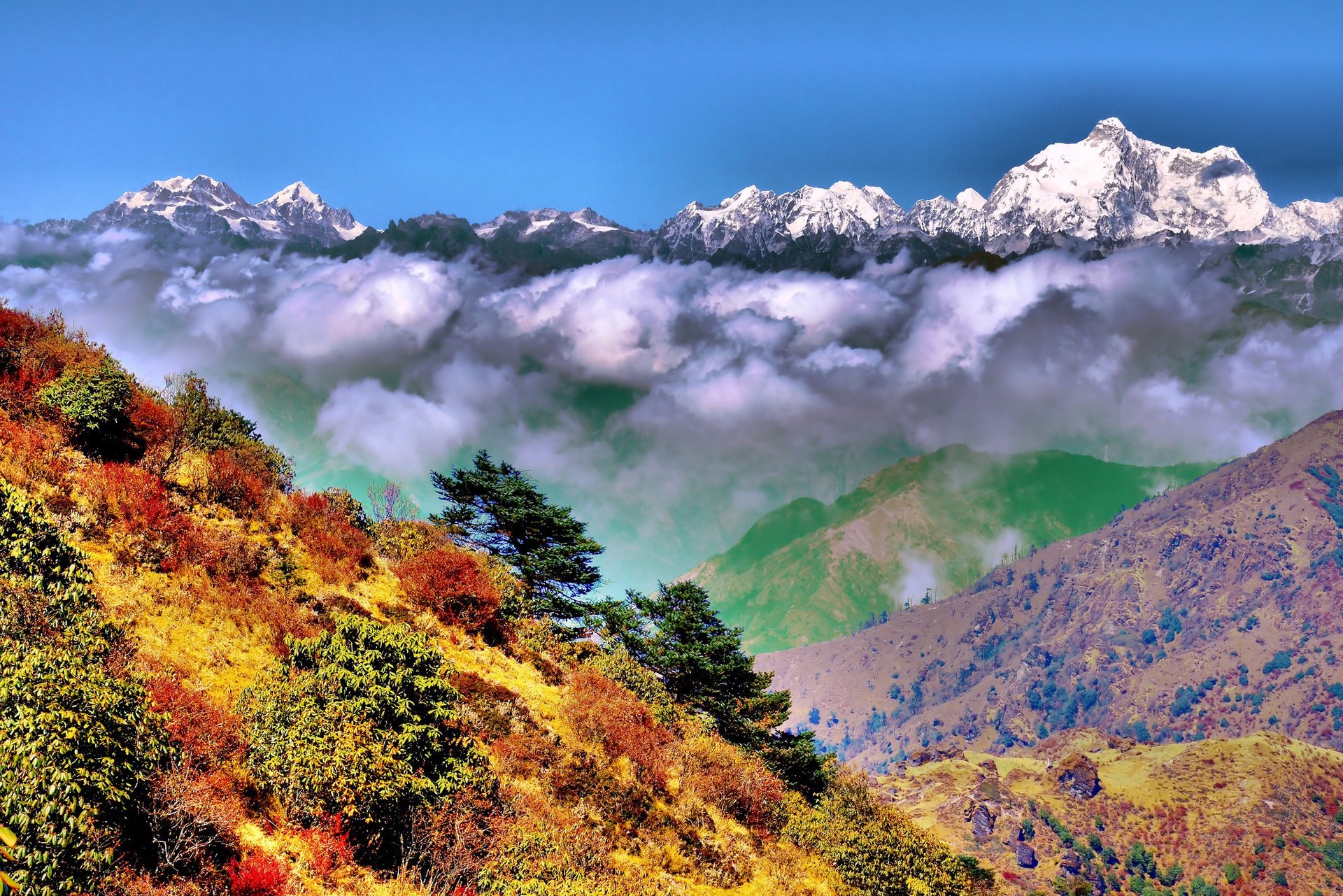 Осень в индии. Яркие деревья и снежные горы
