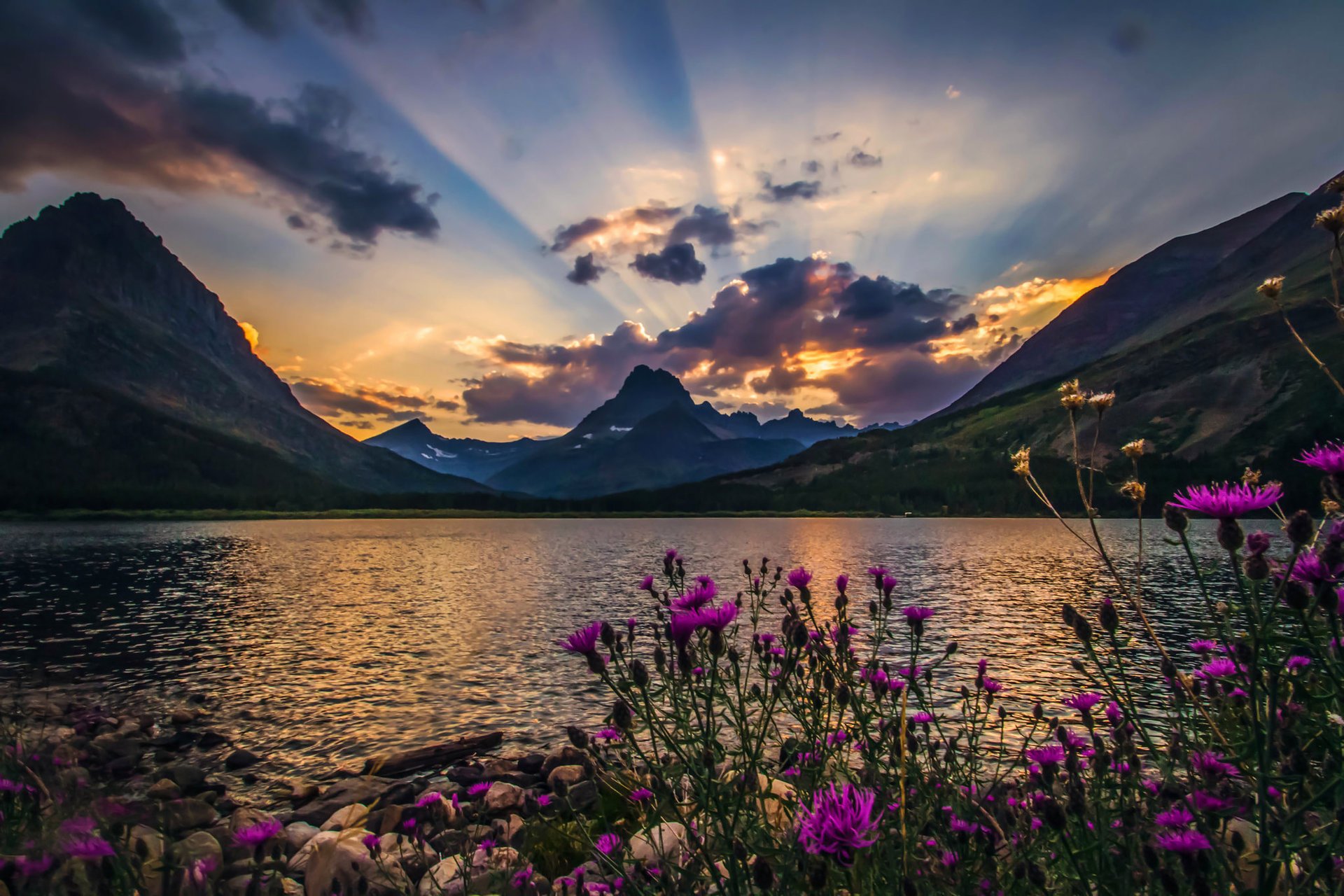 Красивая природа озеро горы цветы