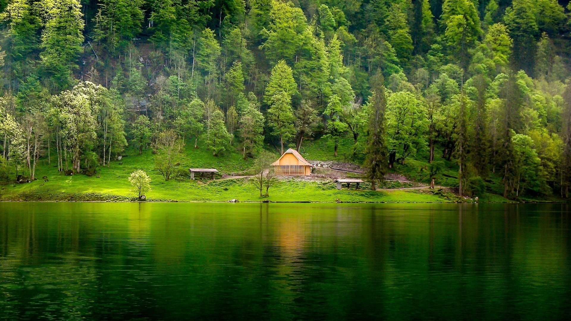 Лесное озеро в горах