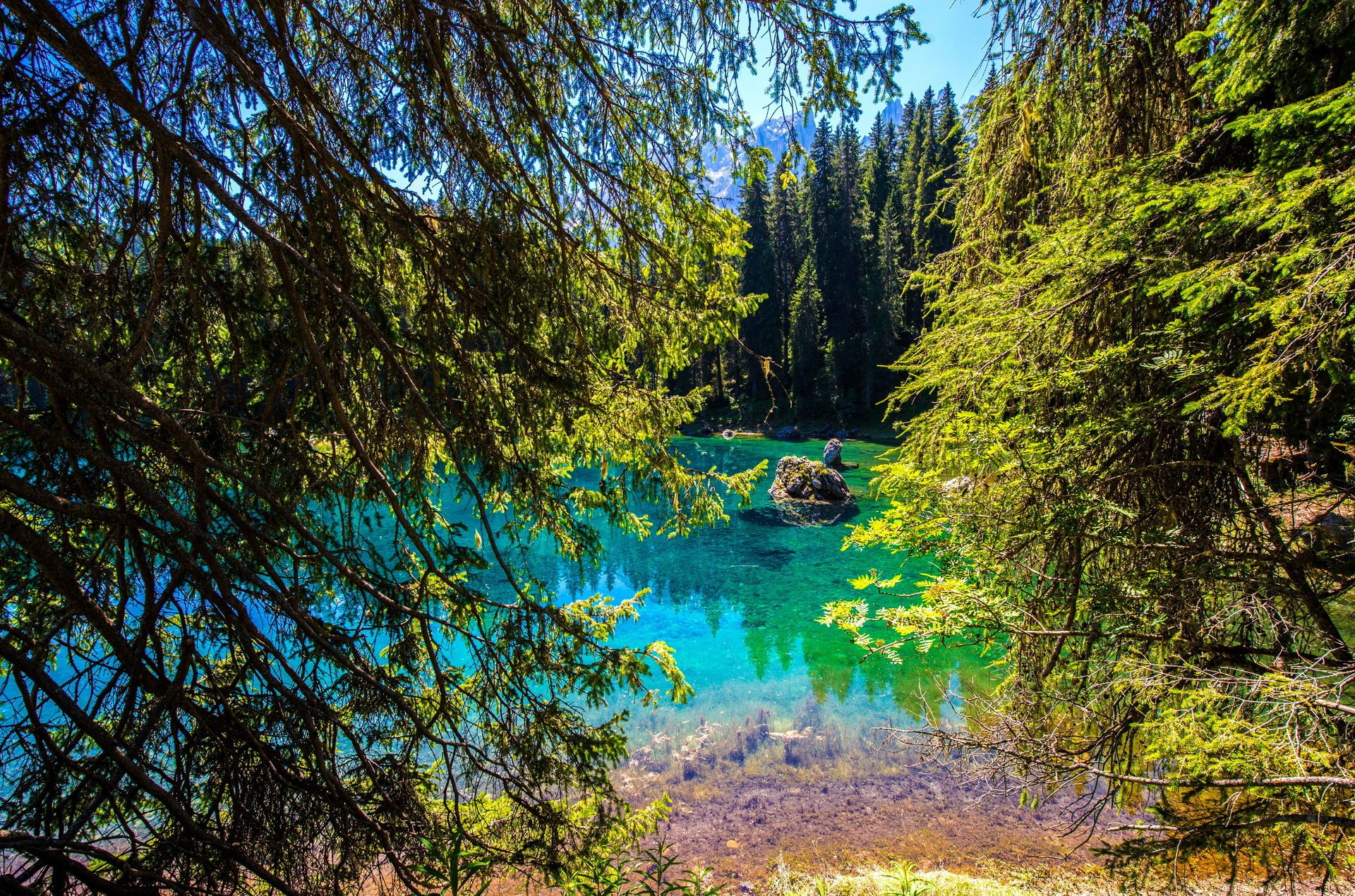 Голубое озеро по середине леса