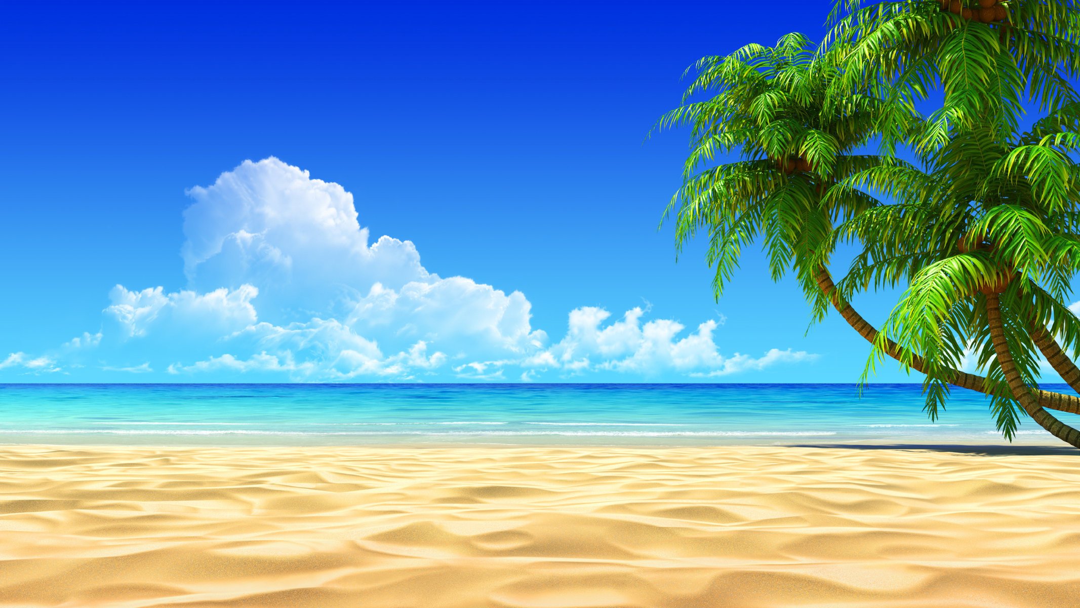 Тропический пейзаж с пальмами и песком