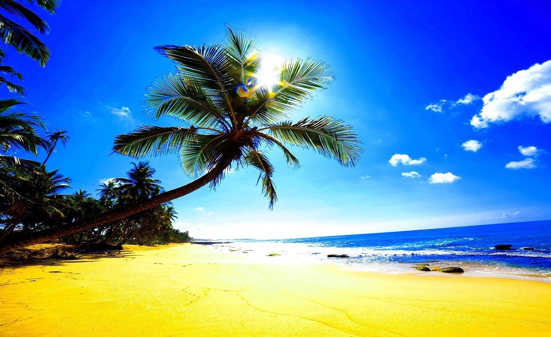 Солнечные блики на песчаном пляже у океана