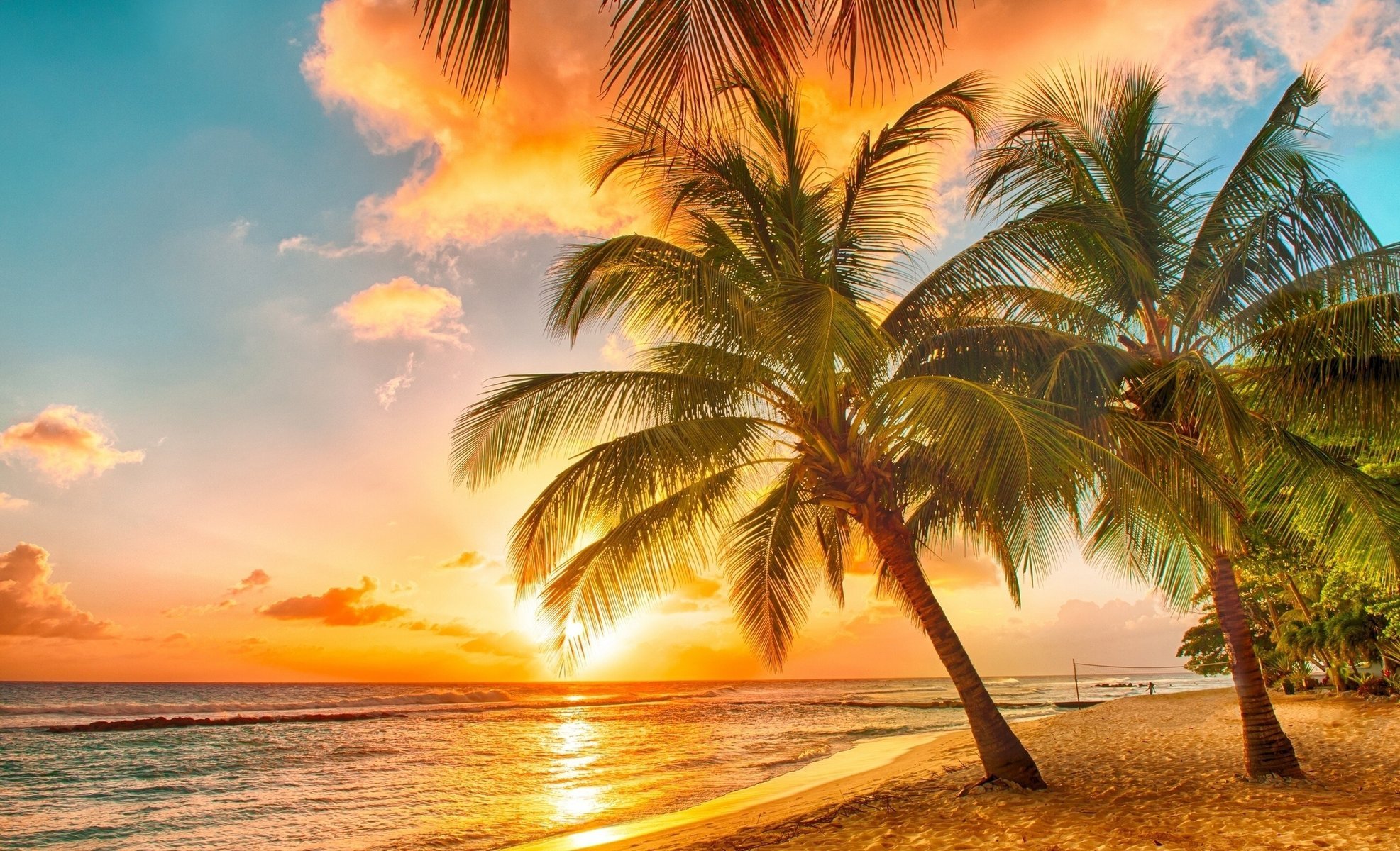 Природа летом в тропиках где пальмы пляж океан