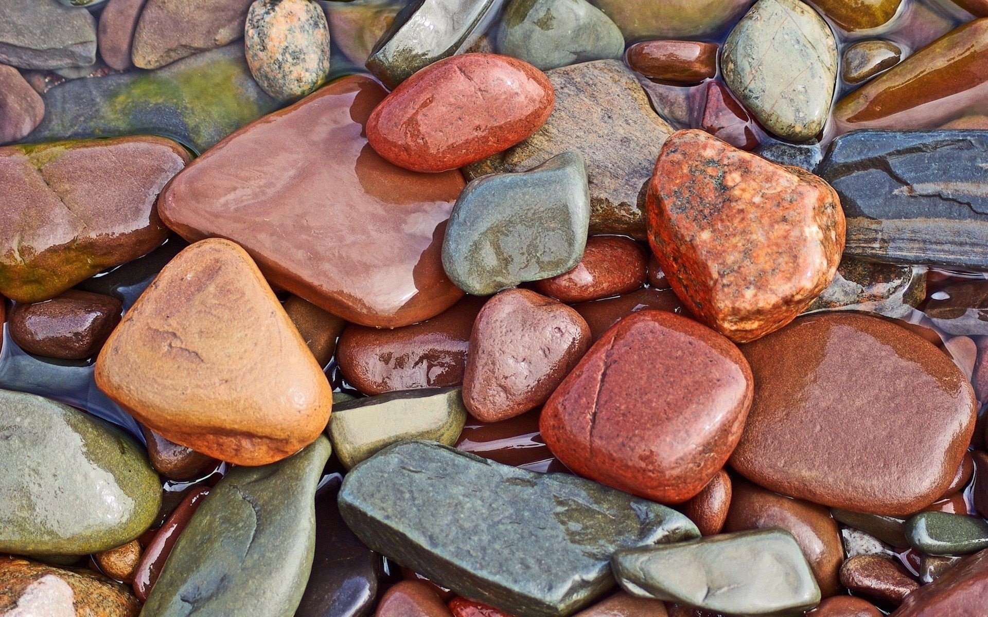 Мокрые камни разных цветов