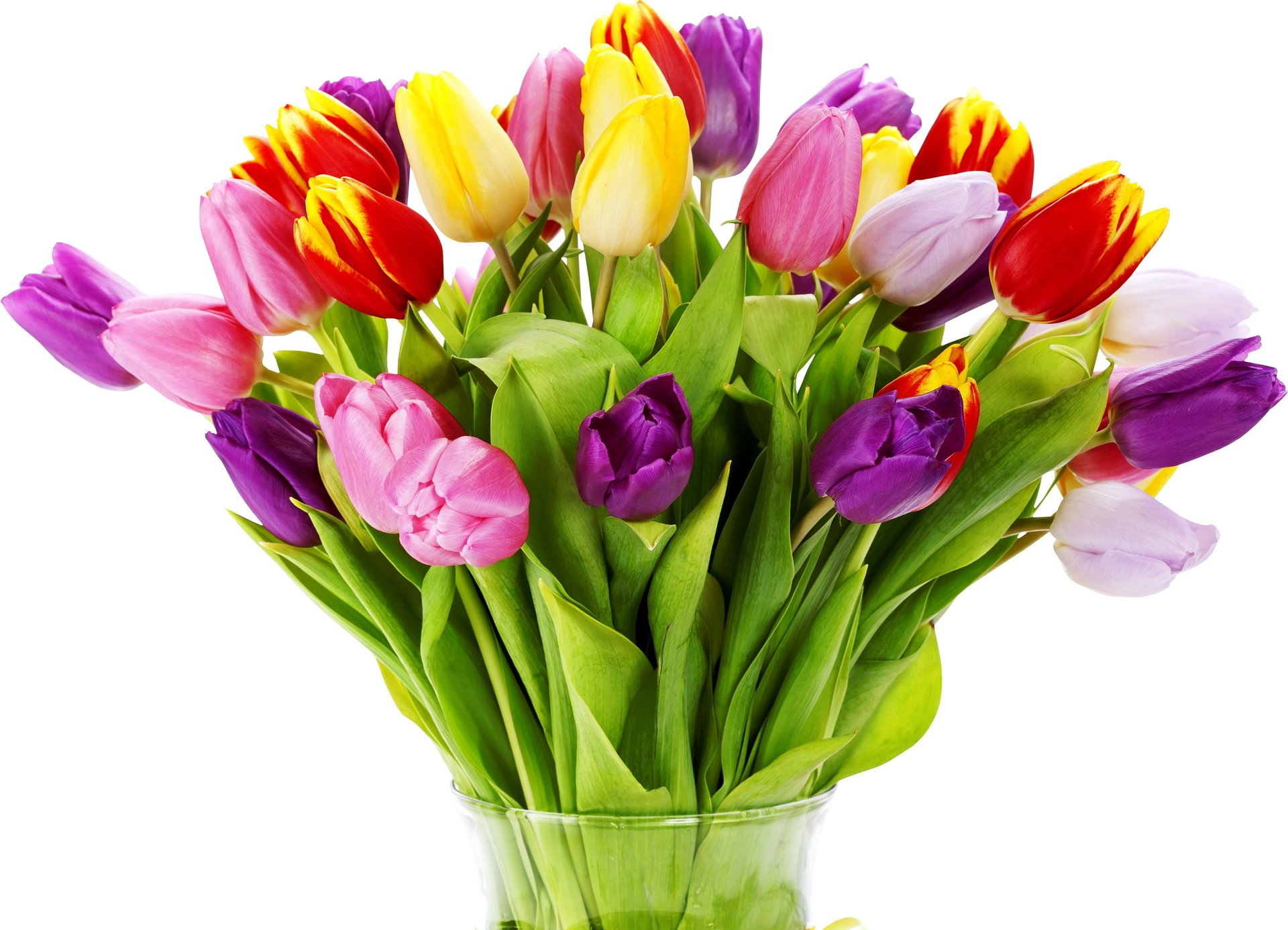 Весенний букет из разноцветных прекрасных тюльпанов