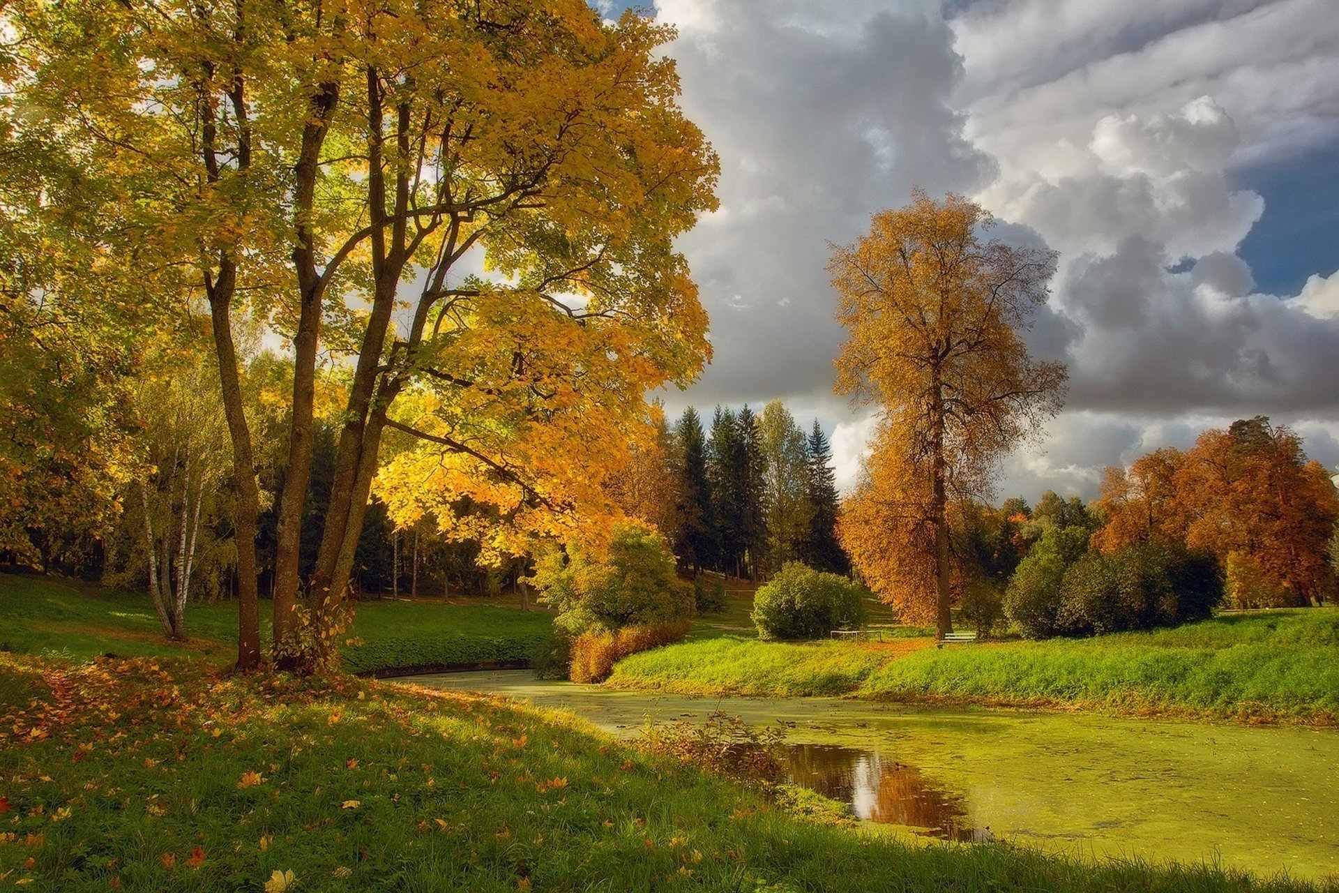 Осенний пейзаж река среди деревьев
