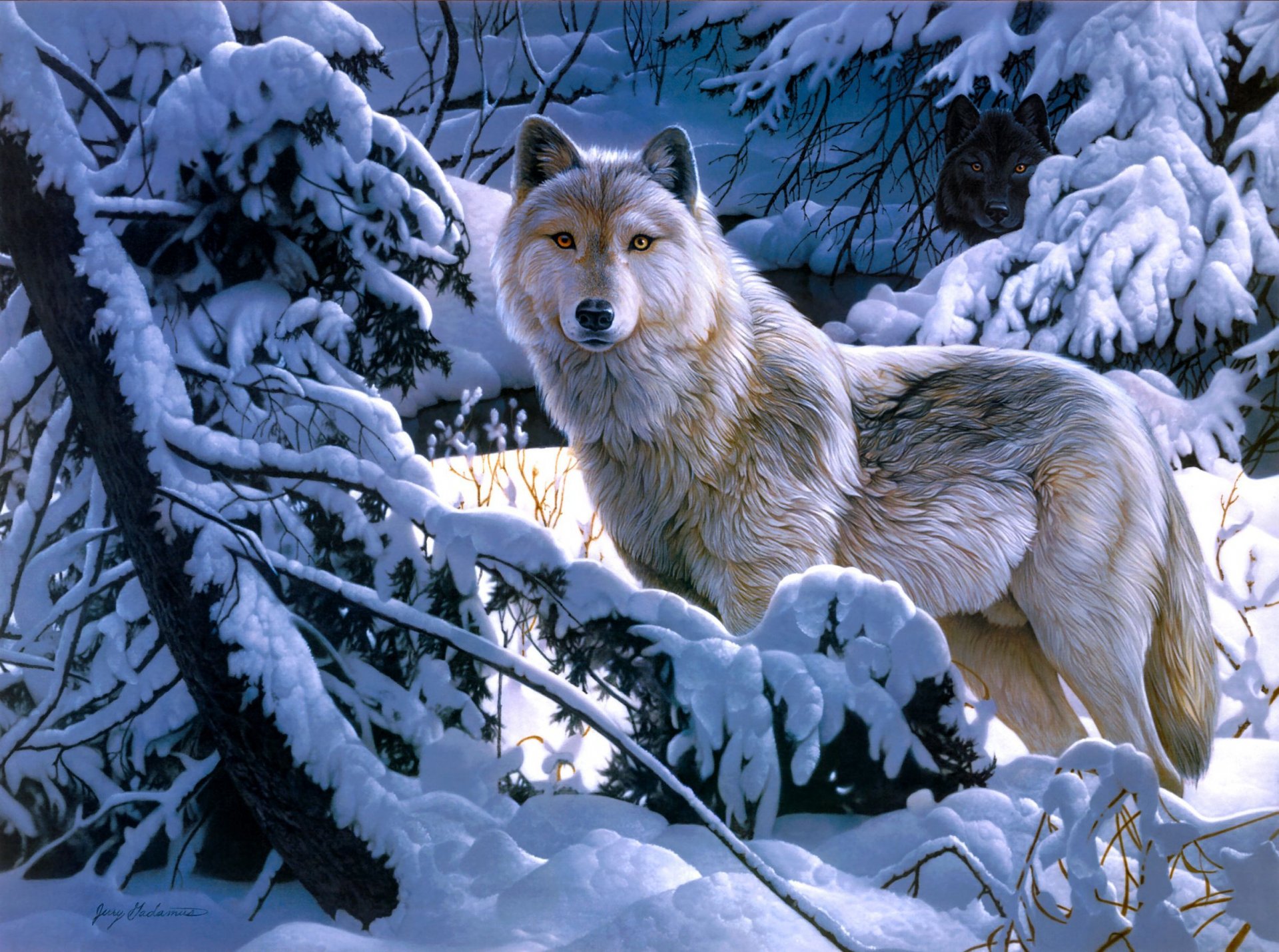 волки в зимнем лесу скачать