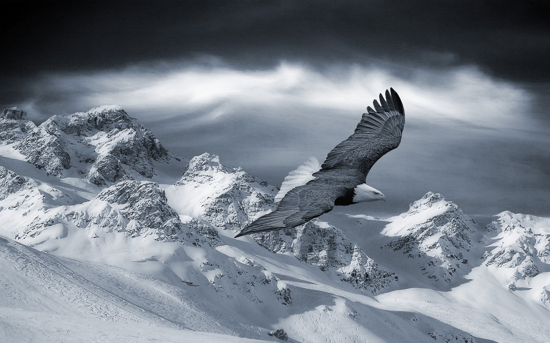 Орел Зимой Фото