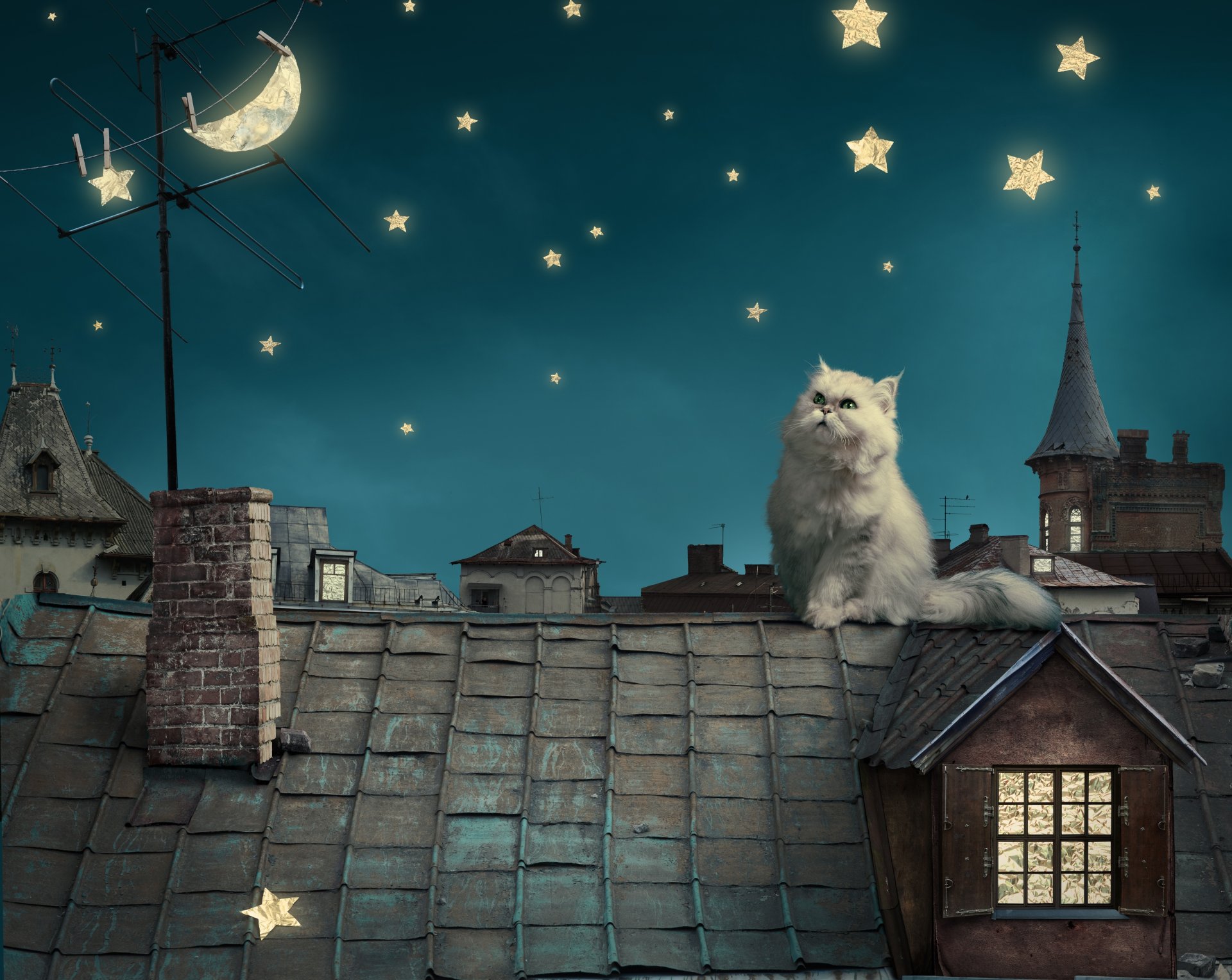 персидский белый кот котенок сказка фэнтези крыша дом небо ночь звезды луна персидские белый кот крыши дома
