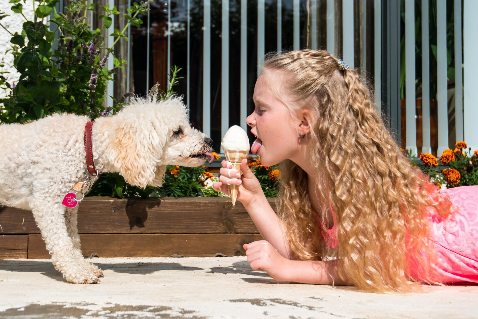 девочка собака друг мороженое