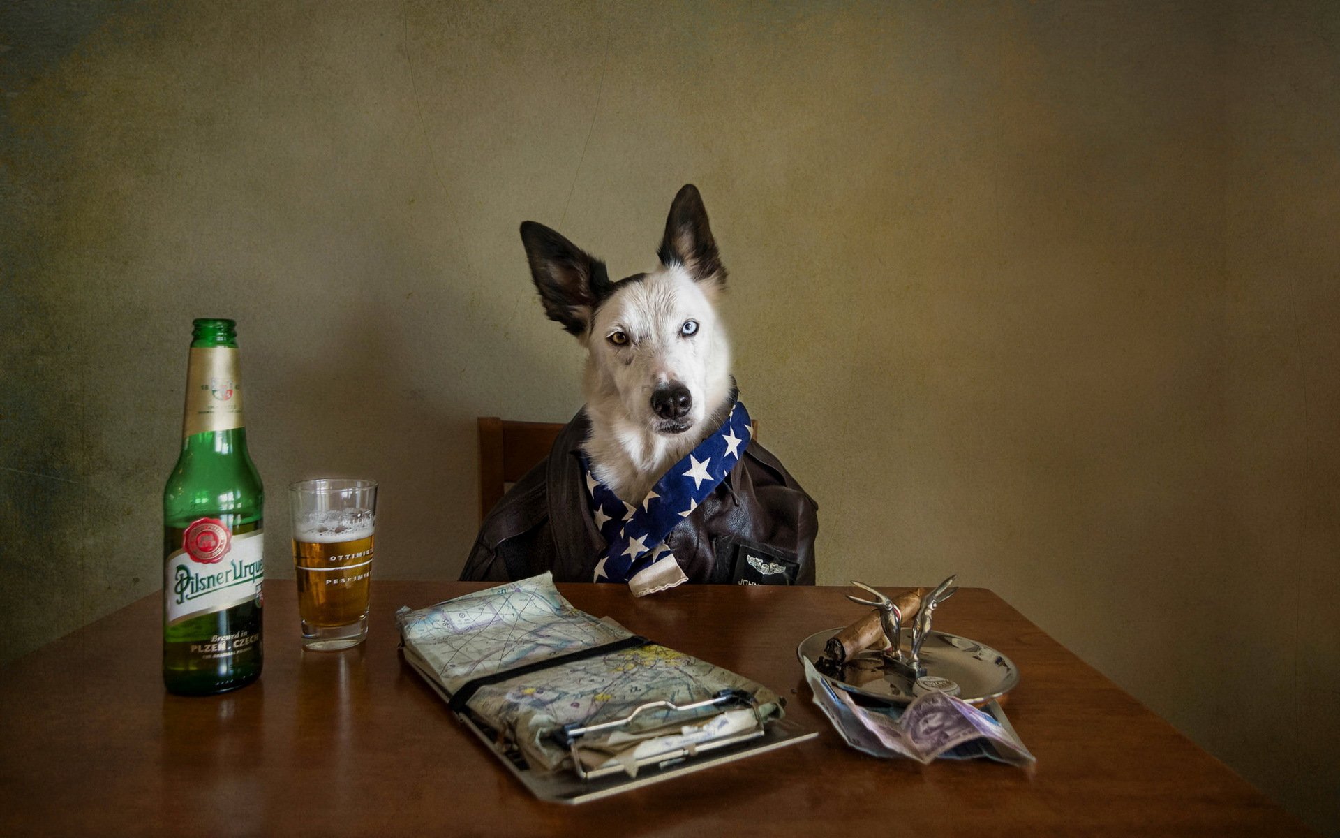 ретривер собака пиво бутылка очки бесплатно