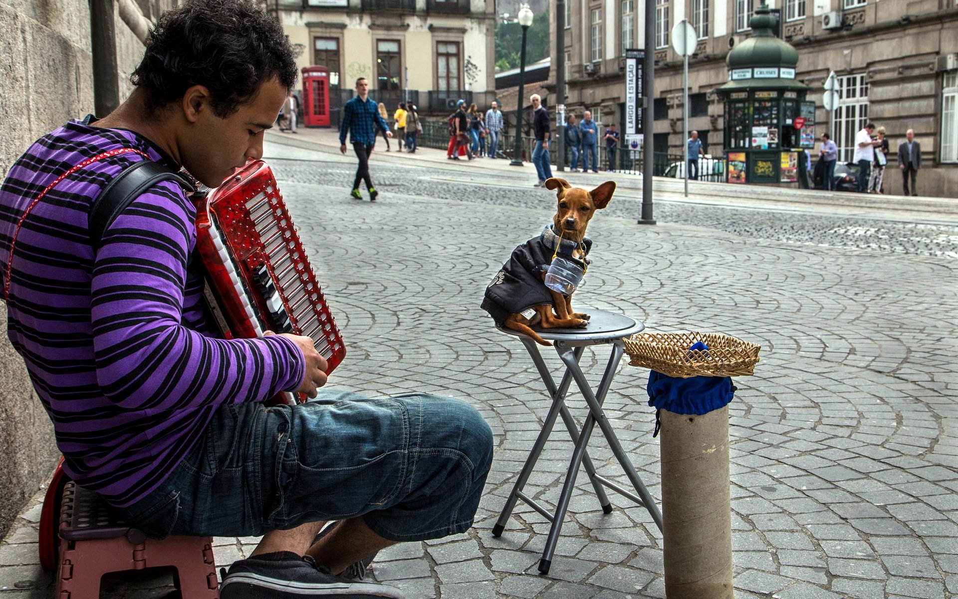 Играют на улице песни. Люди на улице. Музыканты на улице. Уличные музыканты. Веселые уличные музыканты.