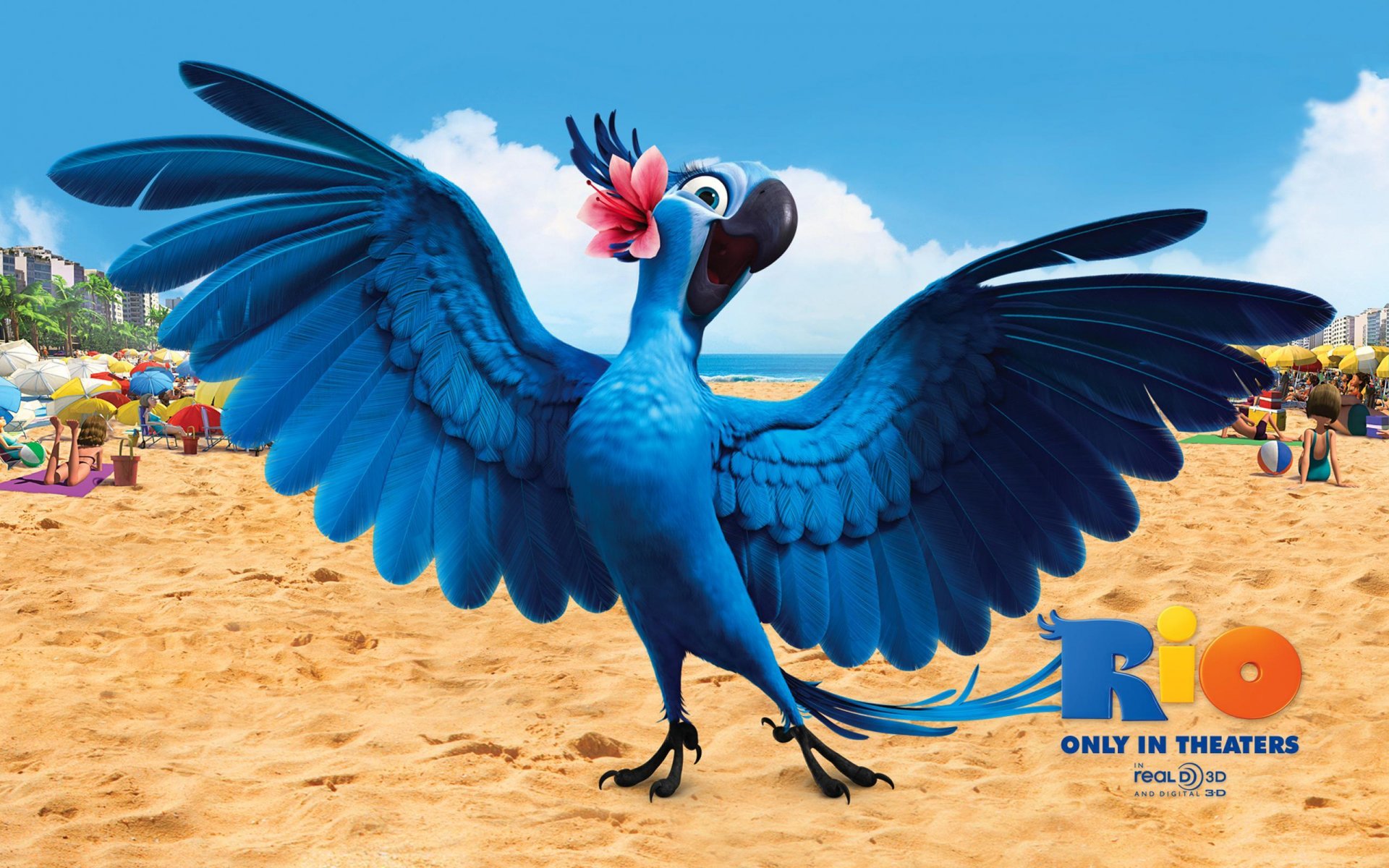 Голубой попугай, Рио бесплатно