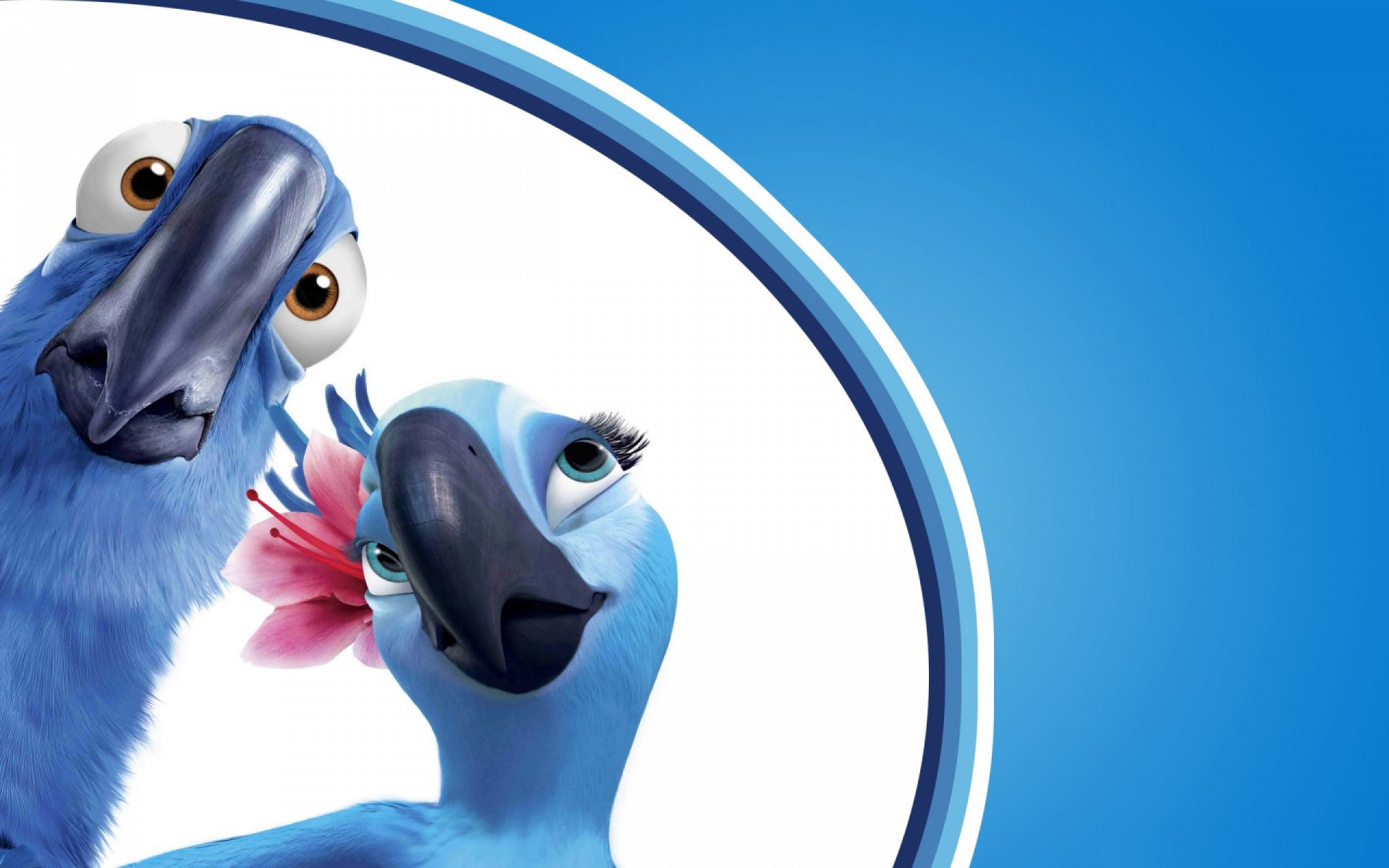 мультфильм рио рио-де-жанейро попугаи птицы голубой ара жемчужинка голубчик пара клюв удивление взгляд цветок фон