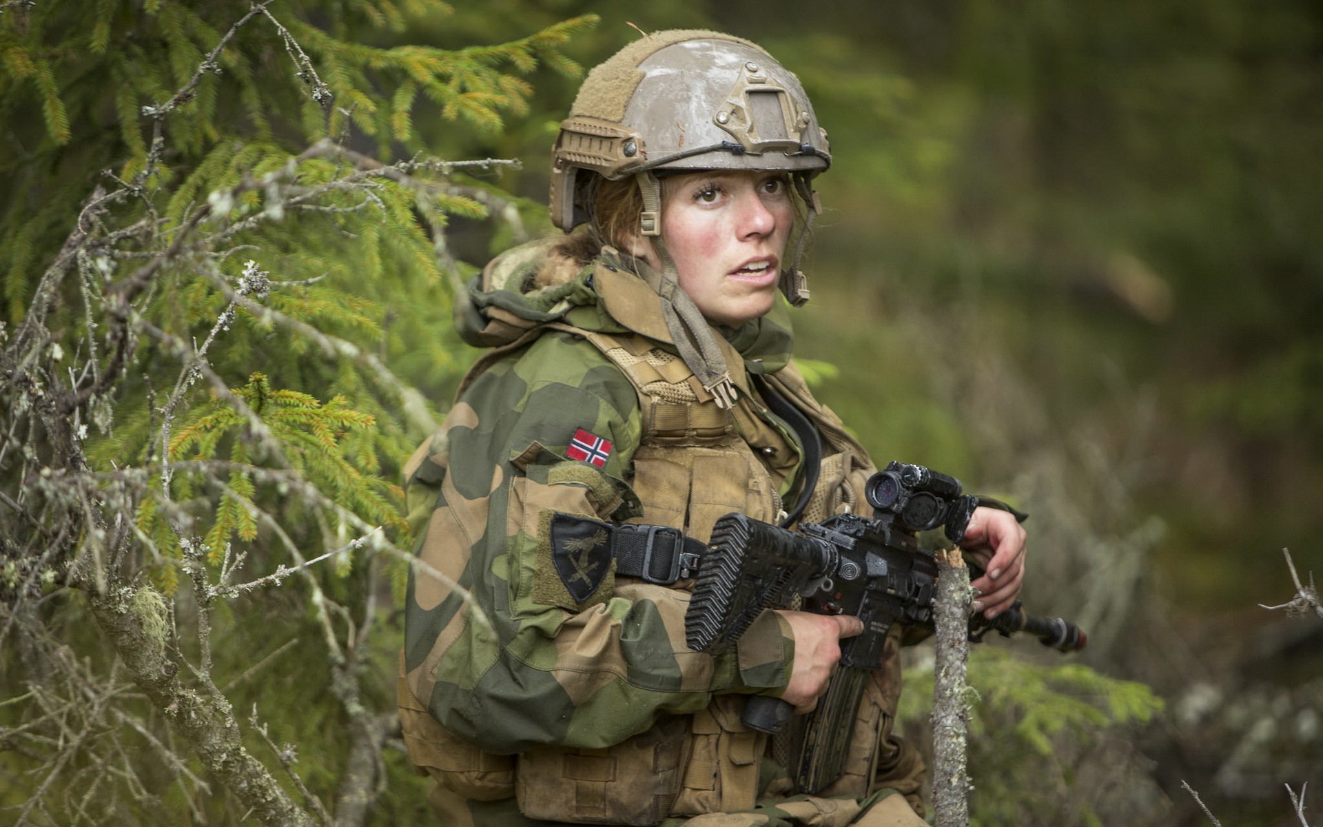 Армия Норвегии