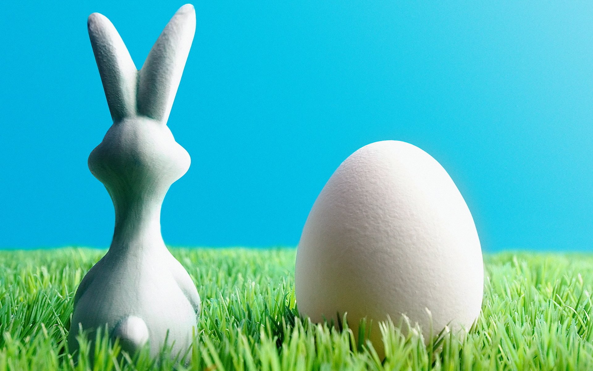 Easter bunny - обои.