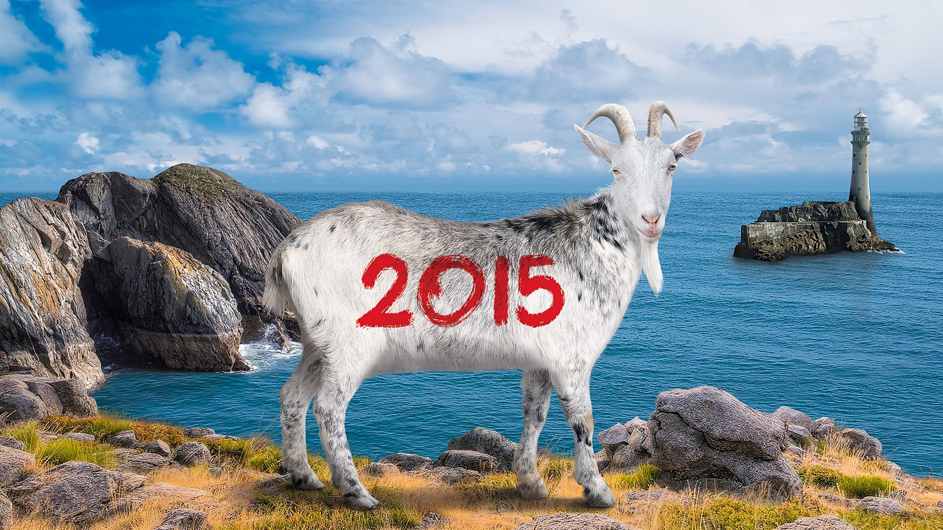 2015 года барана